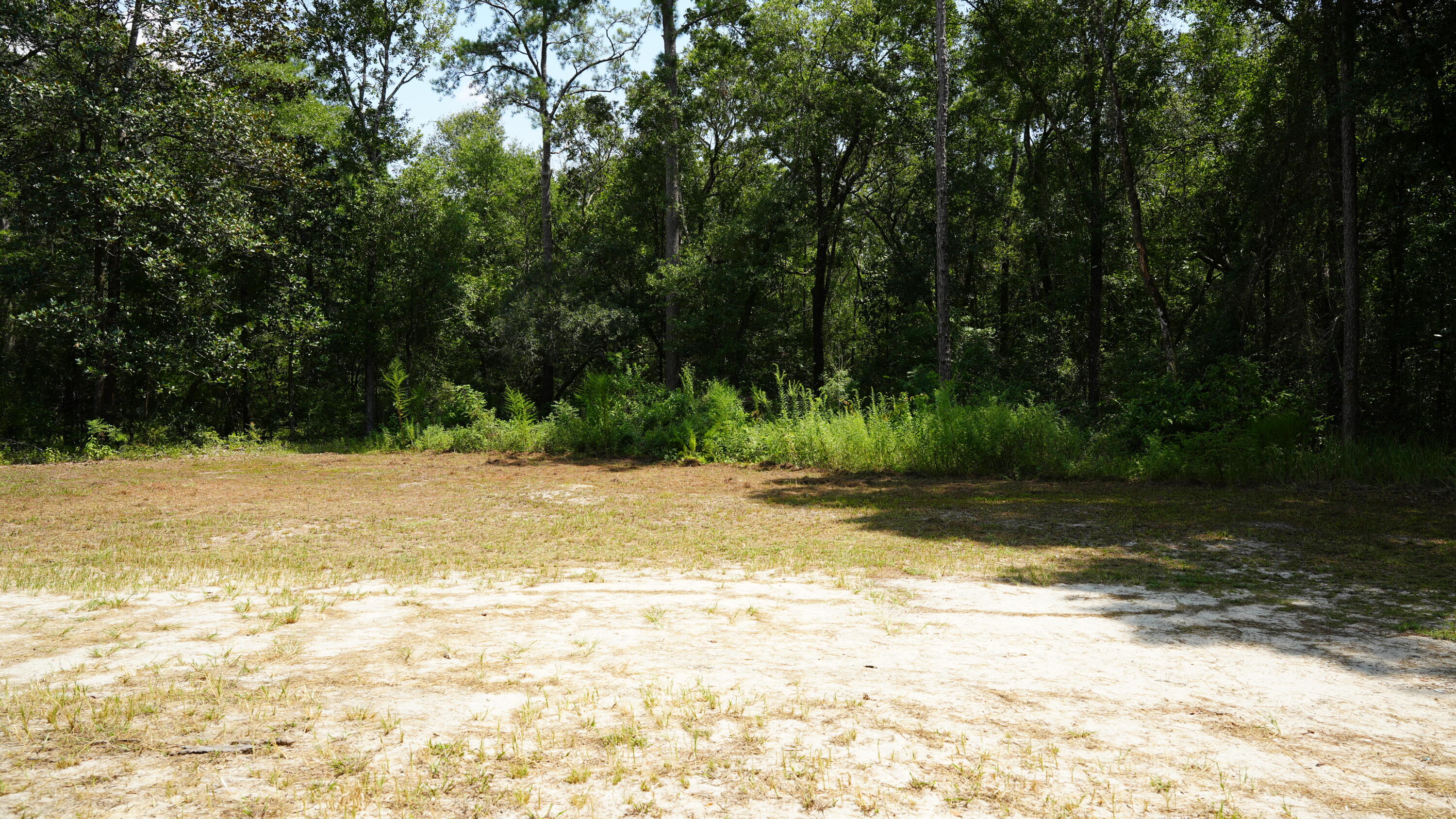 107 Canary Drive