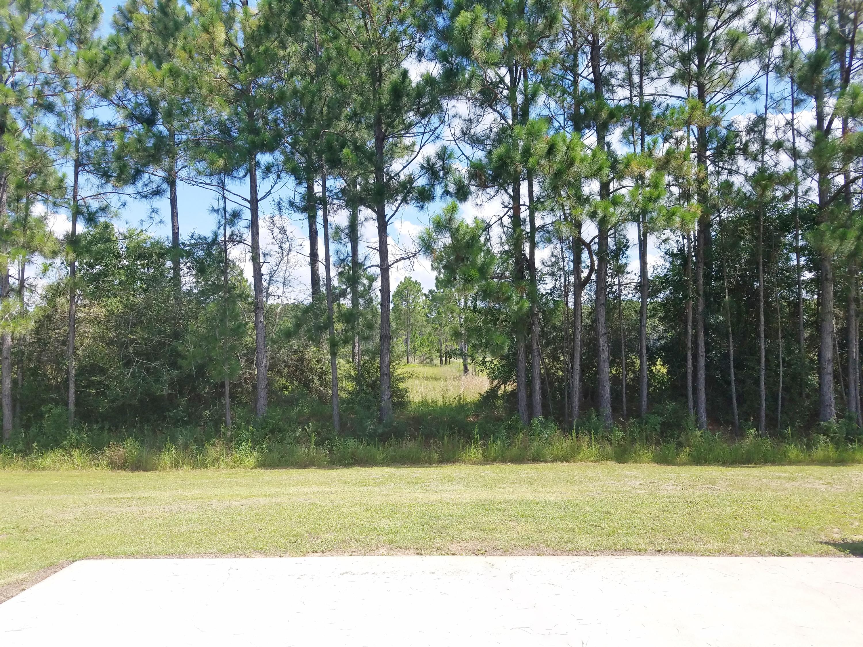 ADRIAN WOODS - Residential