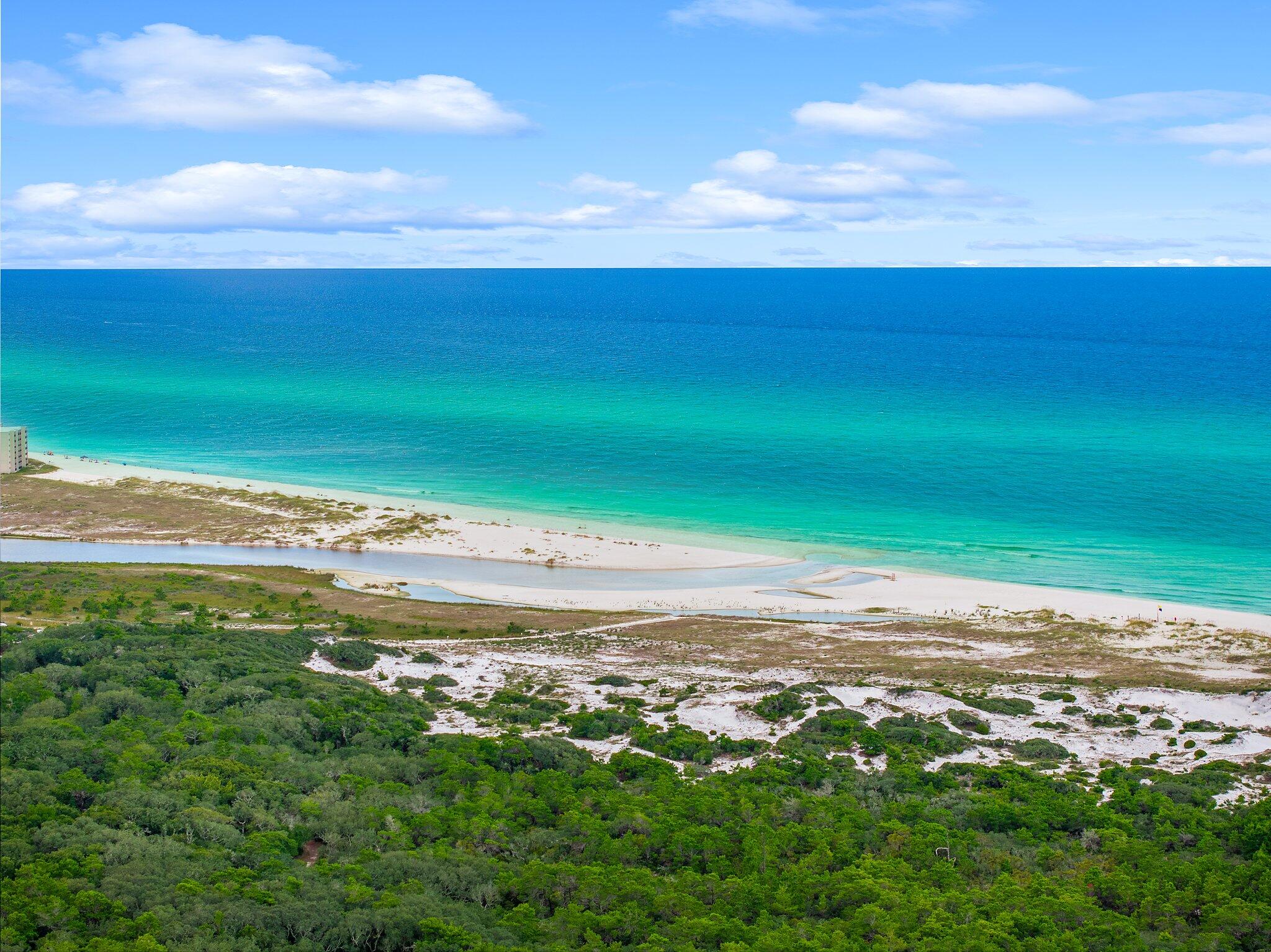 GRANDE POINTE AT INLET BEACH - Residential