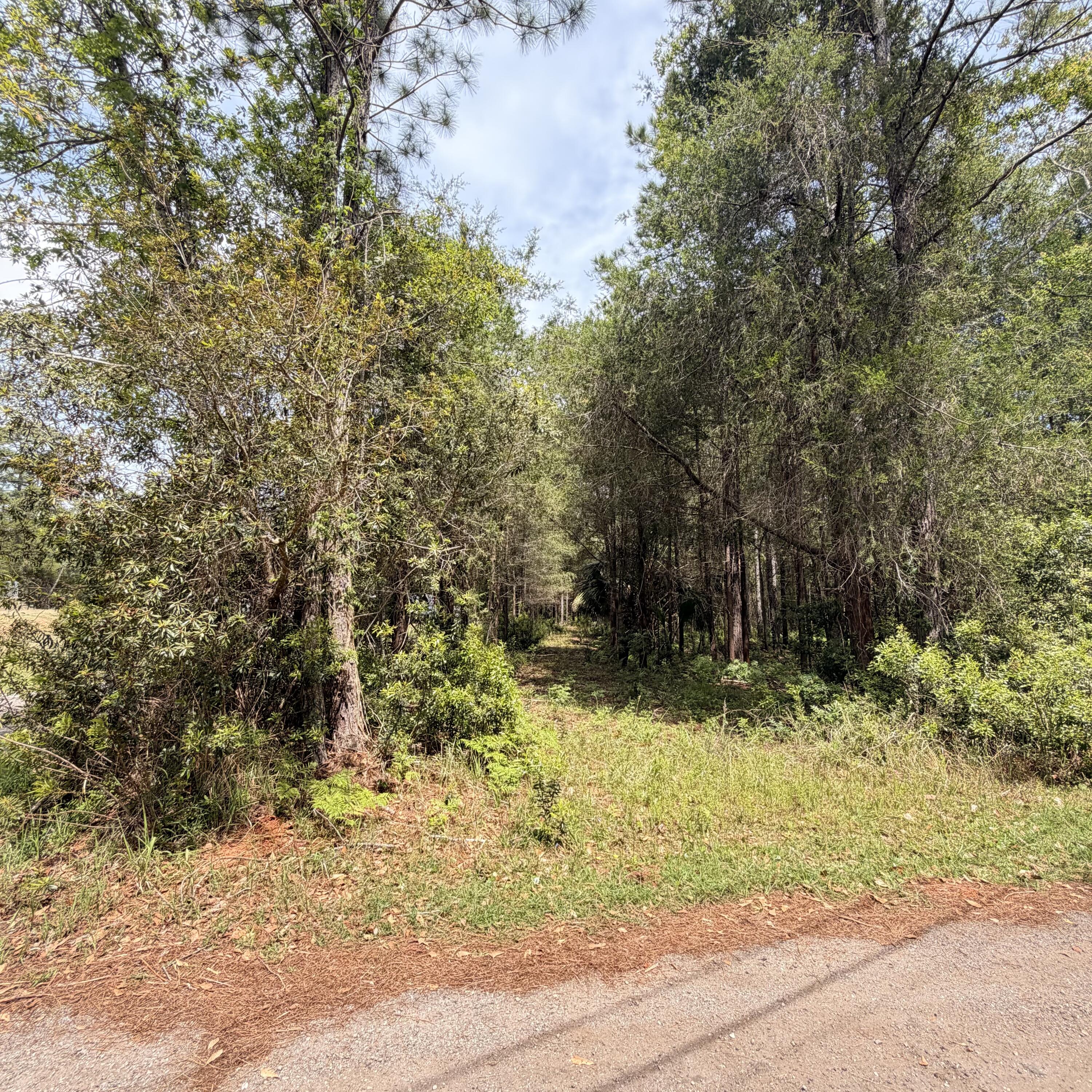 SPANISH LANDING - Land