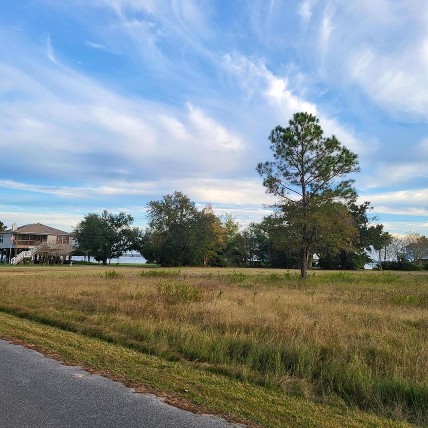 1/2 an acre with a view of Blackwater Bay. The front of the property opens to Owensville rd. This lot is being sold with connected lot that opens on Austin dr.: TBD Austin Dr., Milton FL. 32583, mls 1001171! It is conveniently located with in 10 minutes of I-10, 15 minutes of downtown Milton, and 25 minutes of Pensacola Airport and 50 minutes to gorgeous Destin Beaches! No Home Owner Association ! Splash RV Resort and Water Park down the road, and there is a marina less than a mile away. Selling both parcels together (please see documents section for both surveys, legal descriptions as well as parcel numbers). Flood Zone AE