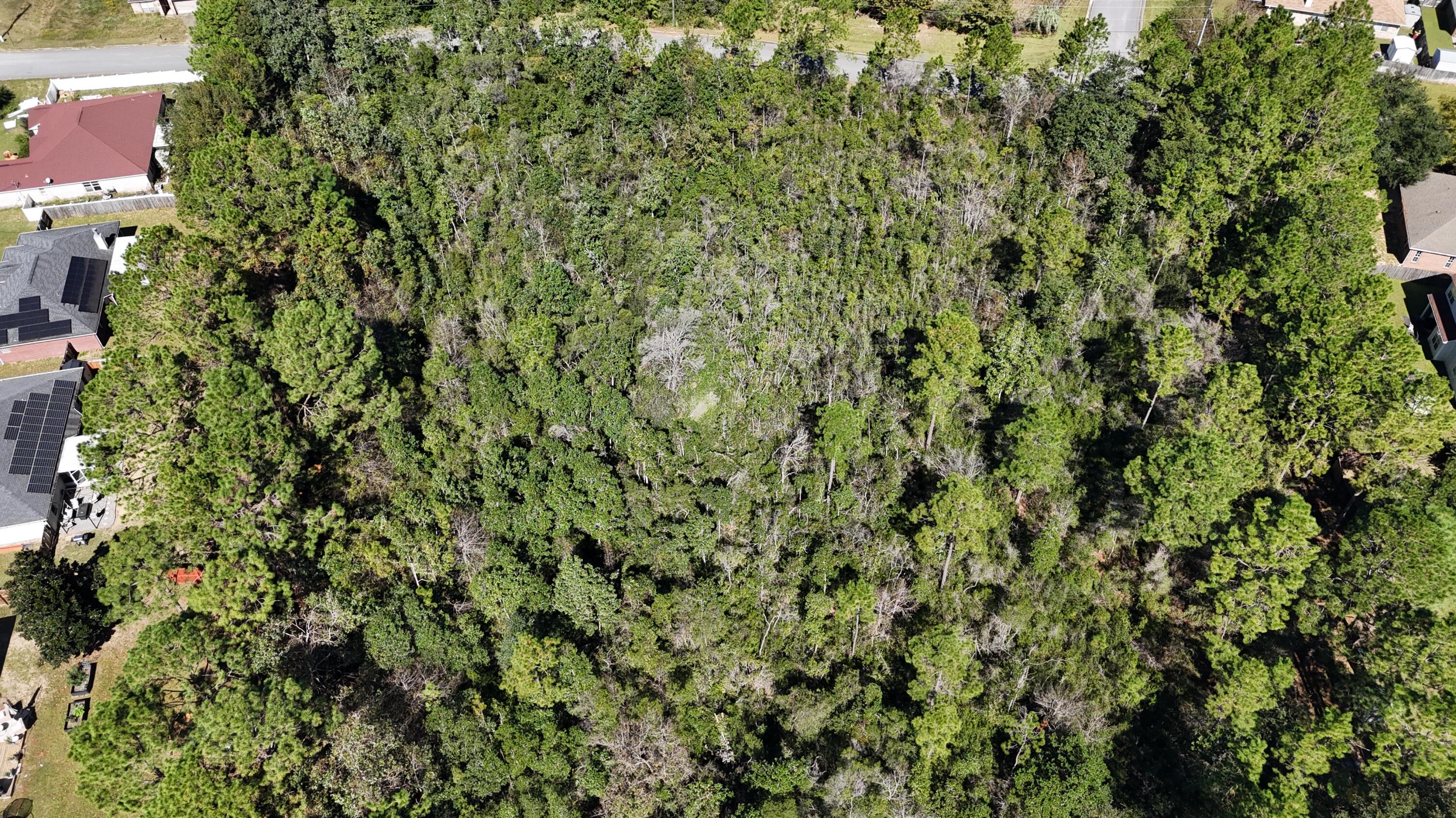 12.33 Acres Alicia Dr