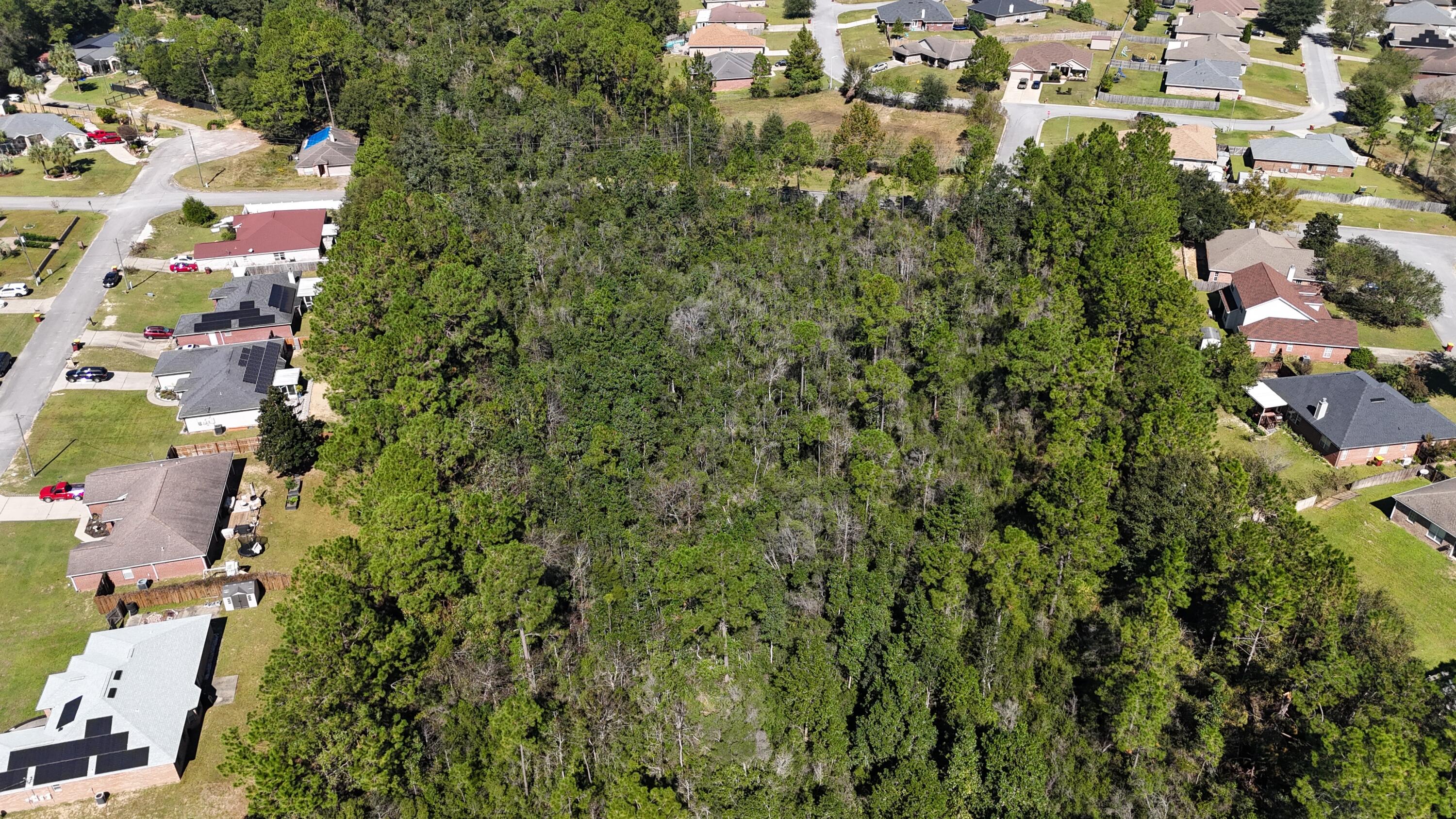 12.33 Acres Alicia Dr