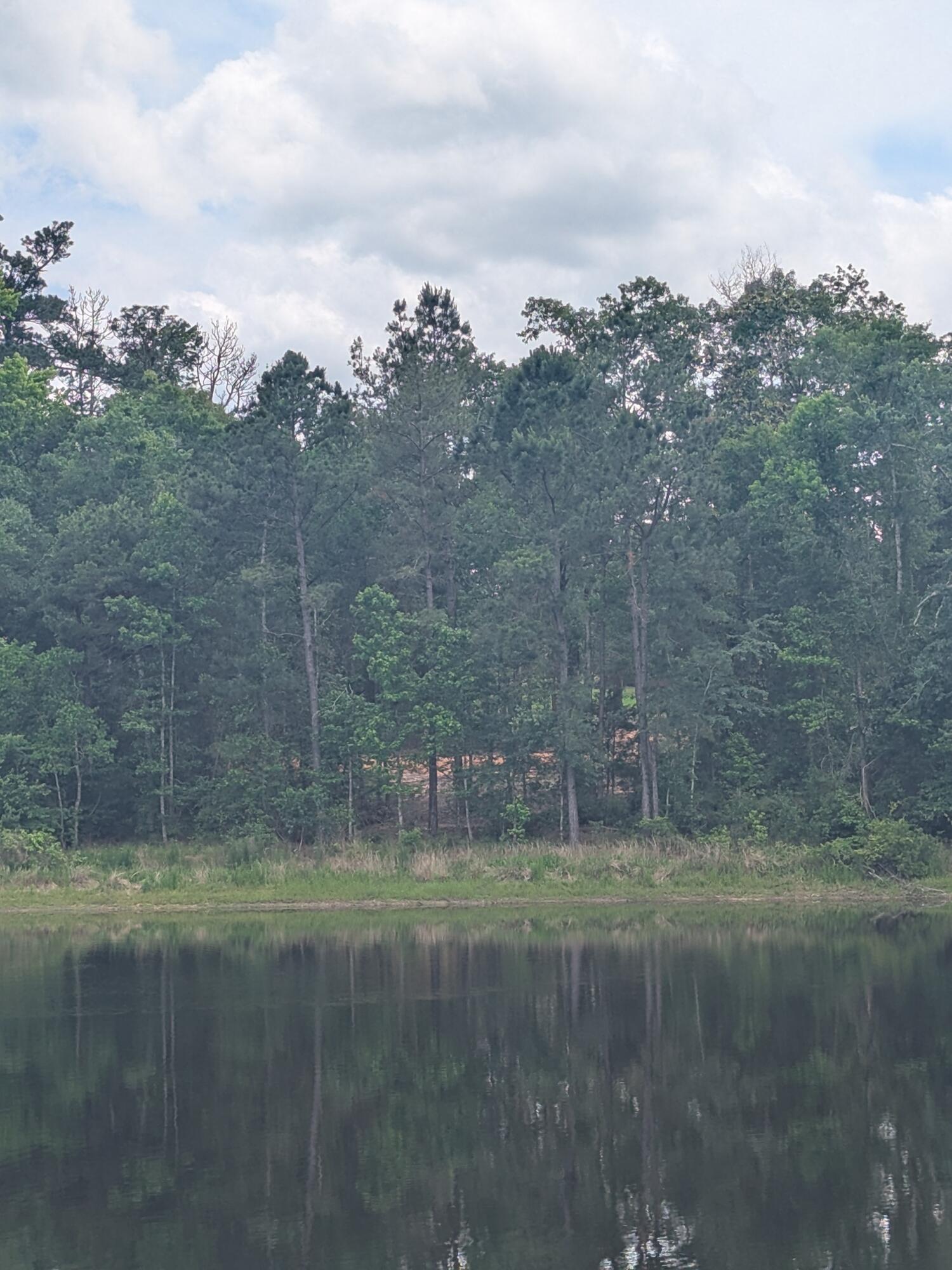 Dogwood Lakes Estates - Land