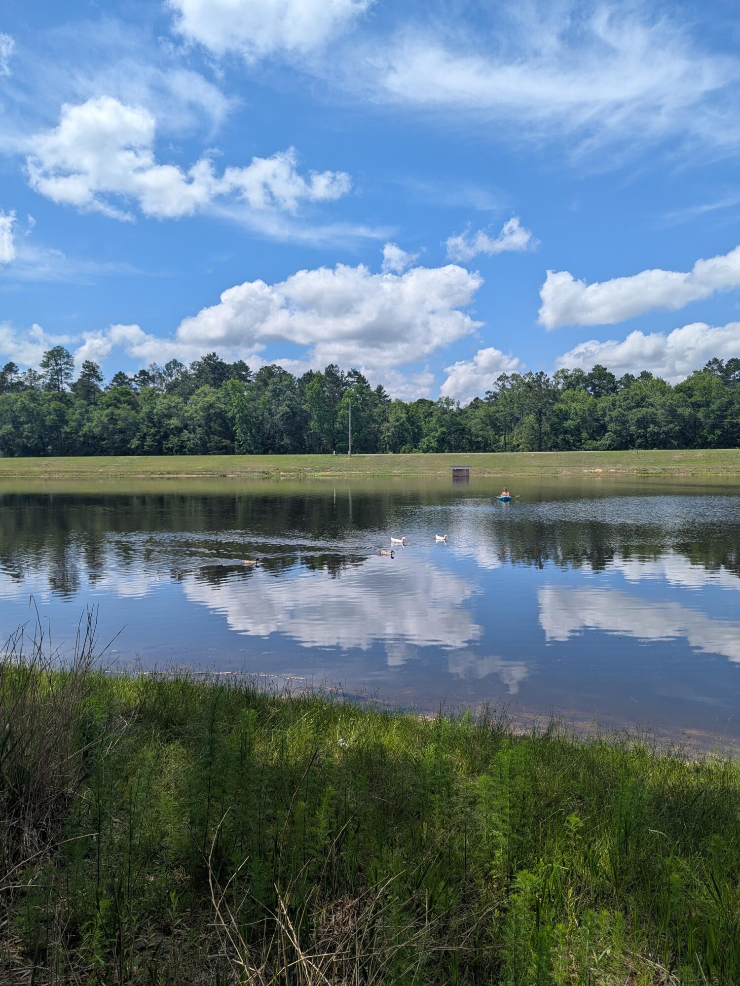 Dogwood Lakes Estates - Land