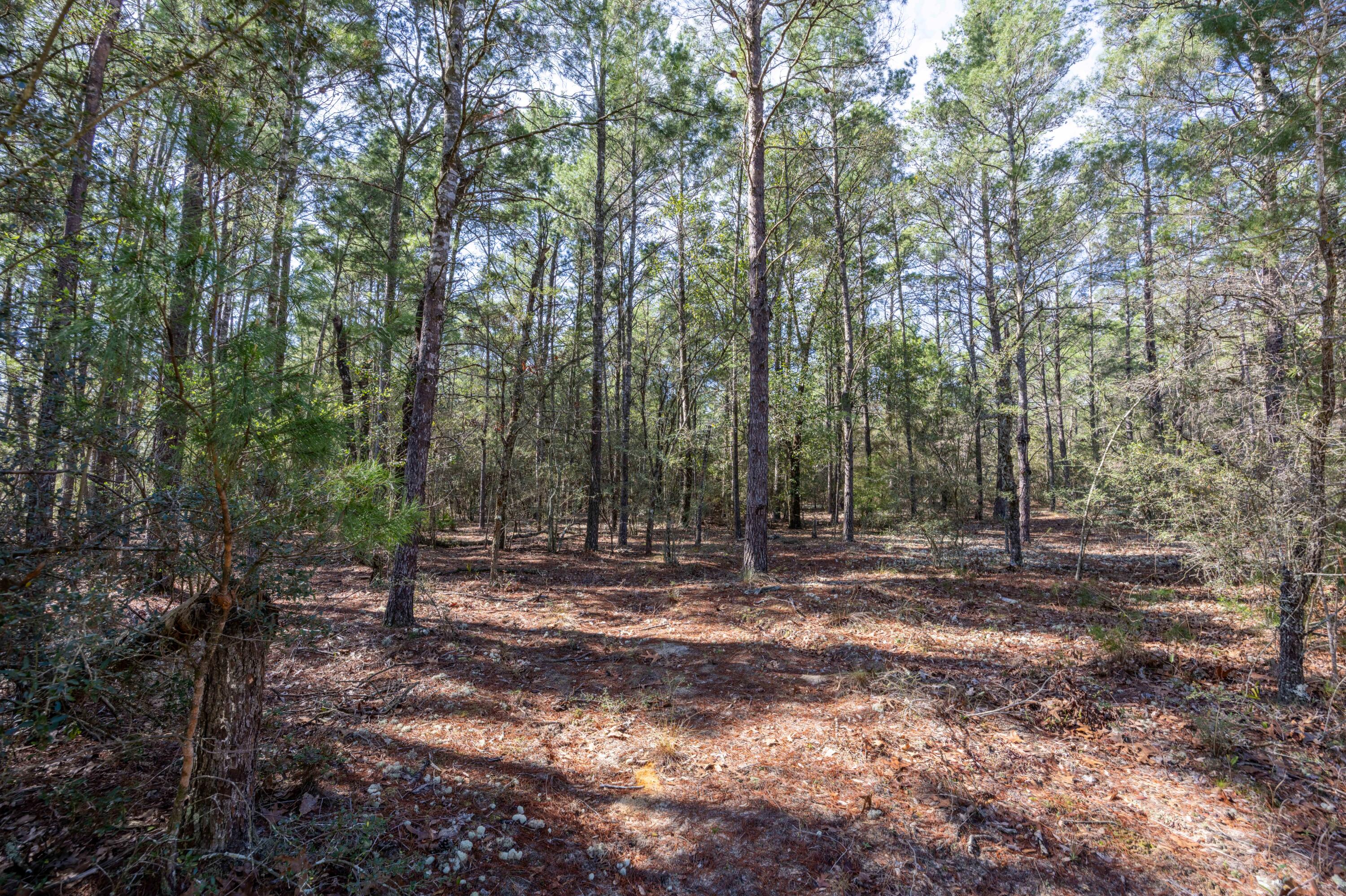 OAKWOOD ESTATES UNIT 4 - Land