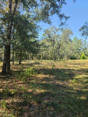 3091 KINGS LAKE RD, DEFUNIAK SPRINGS, FL 32433 - Image 2533c286ea70e945eea6a0bb437ddf63/3282015932