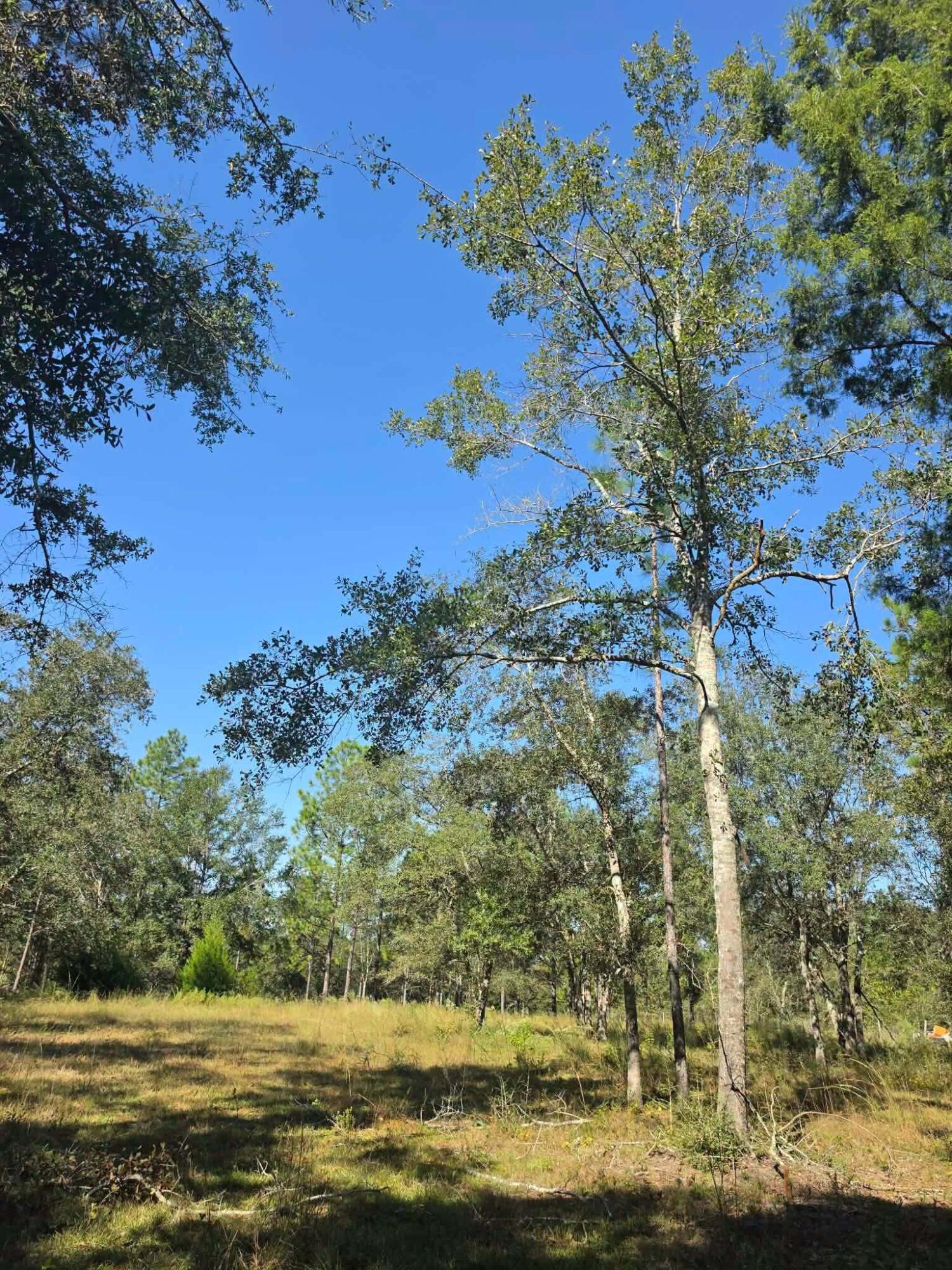 3091 Kings Lake