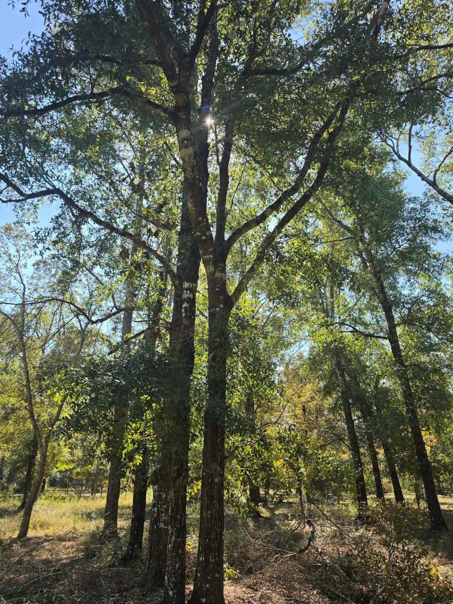 3091 Kings Lake