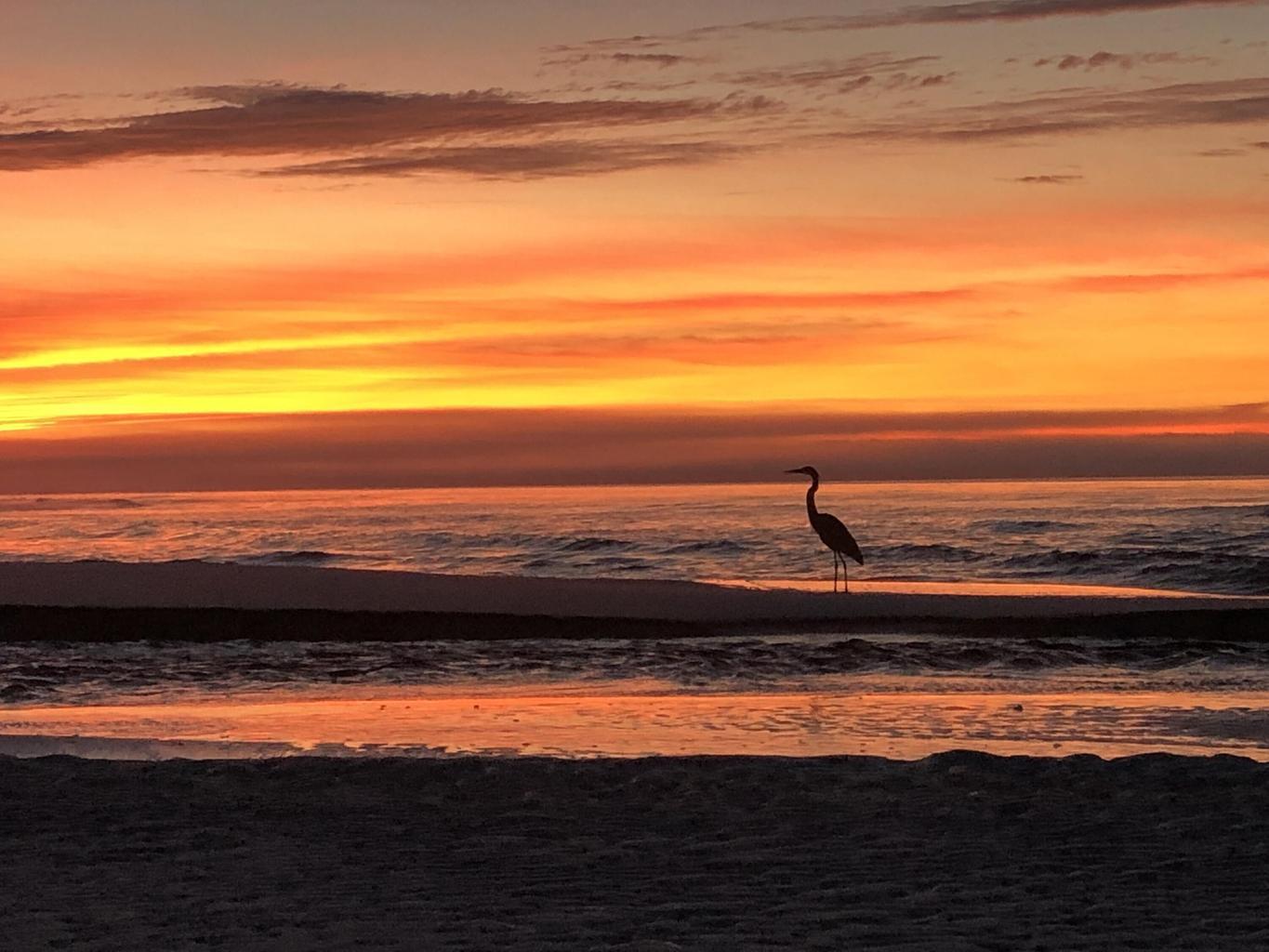 GULFVIEW HEIGHTS 1ST ADDN - Residential