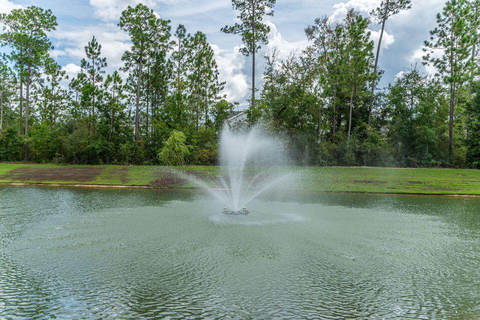Bear Creek - Land