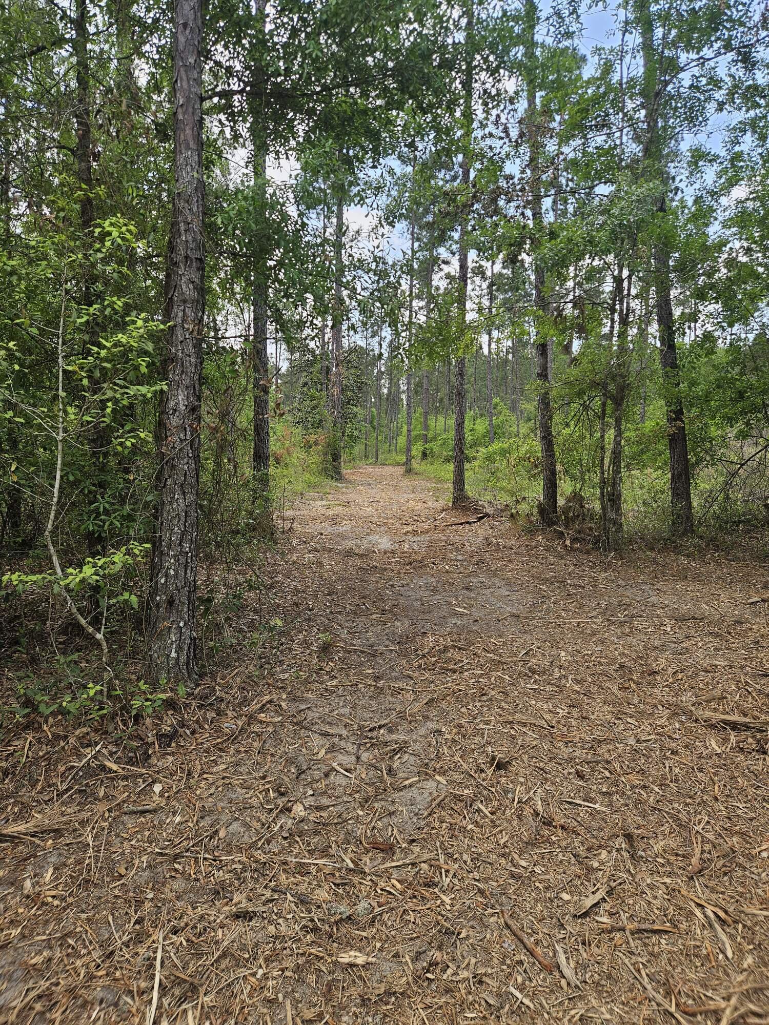 Pinebrook Ranches - Land