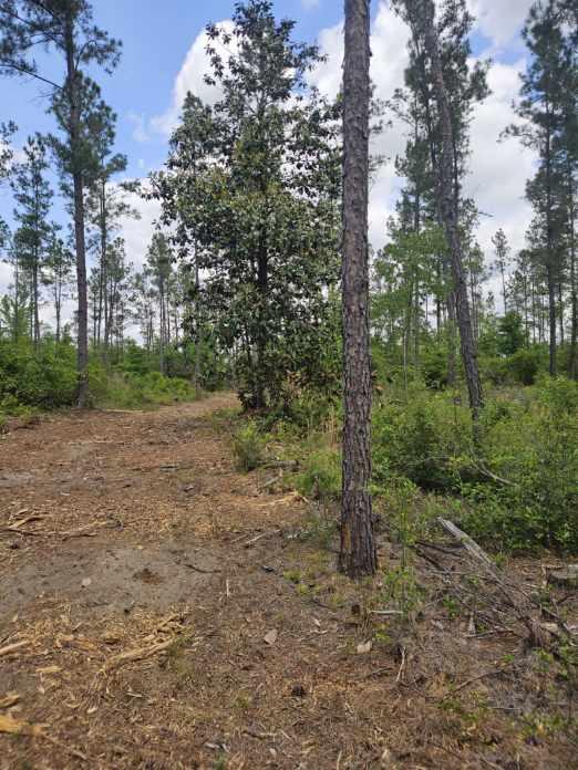 Pinebrook Ranches - Land