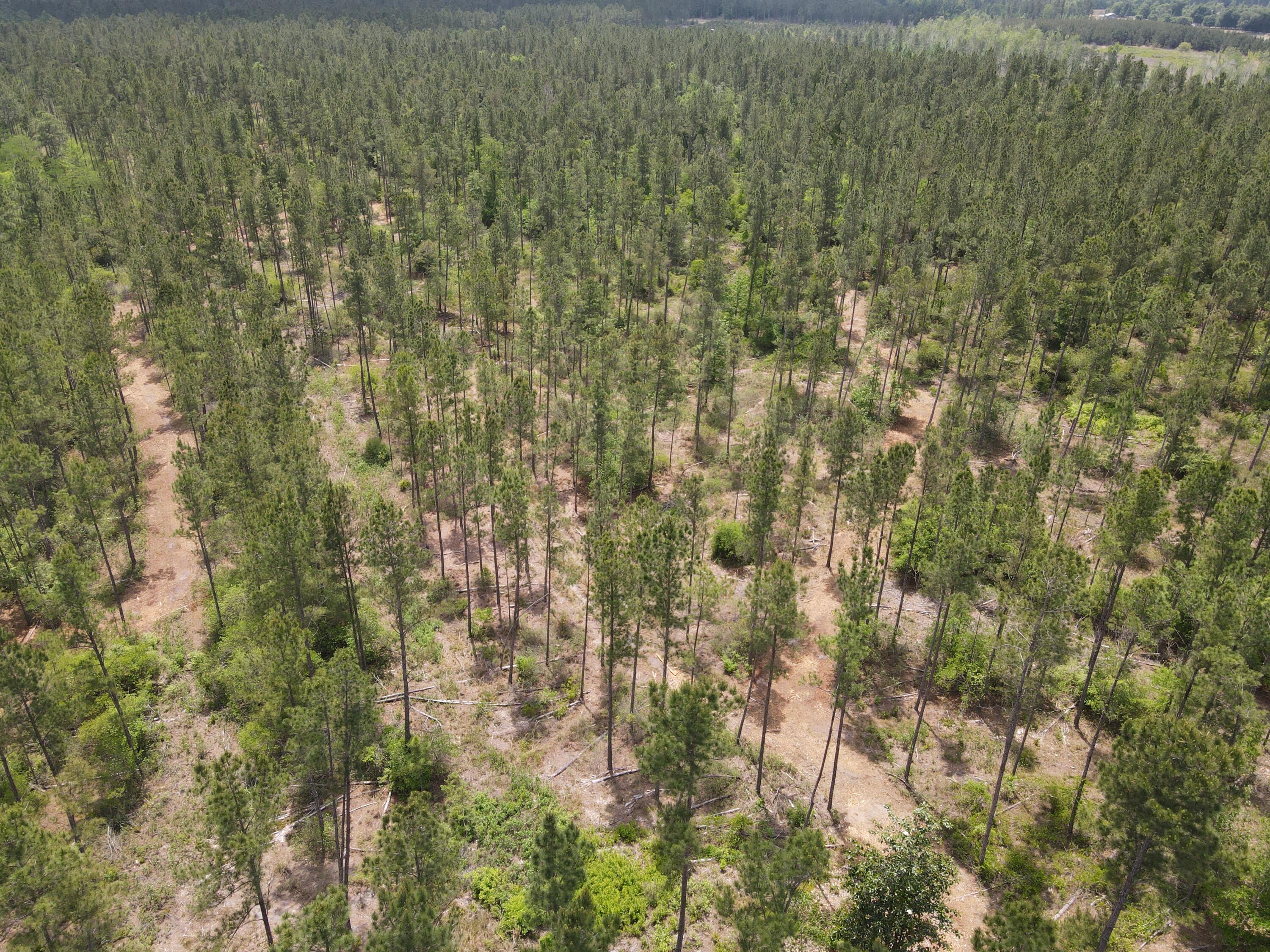 Pinebrook Ranches - Land