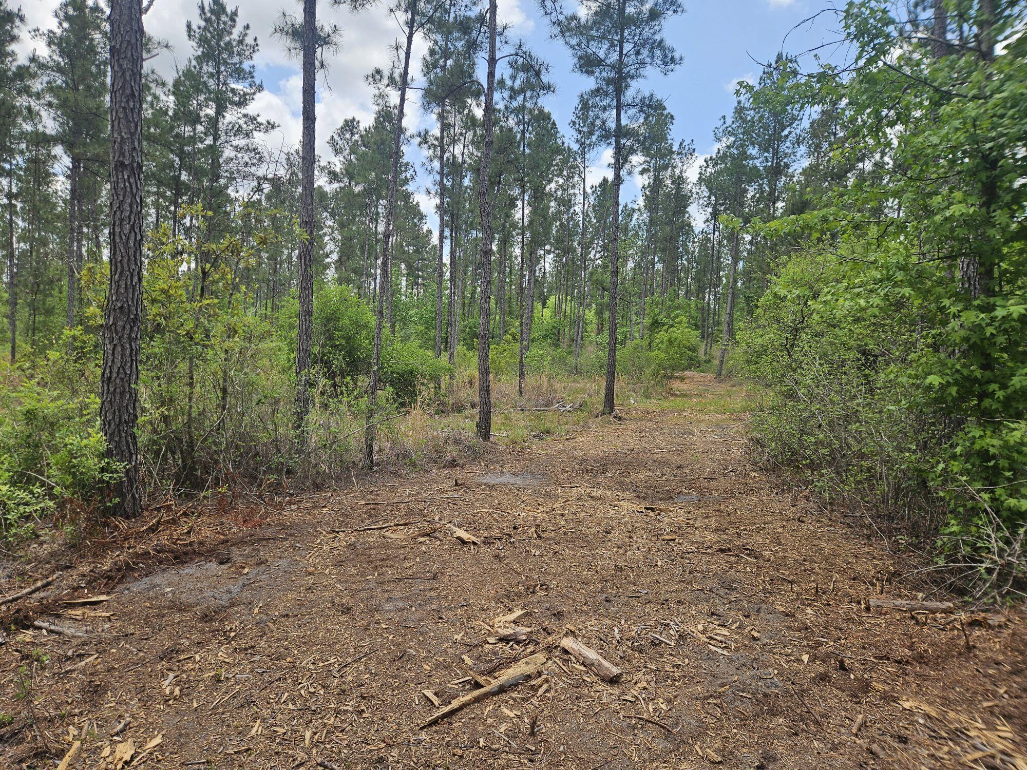 Pinebrook Ranches - Land