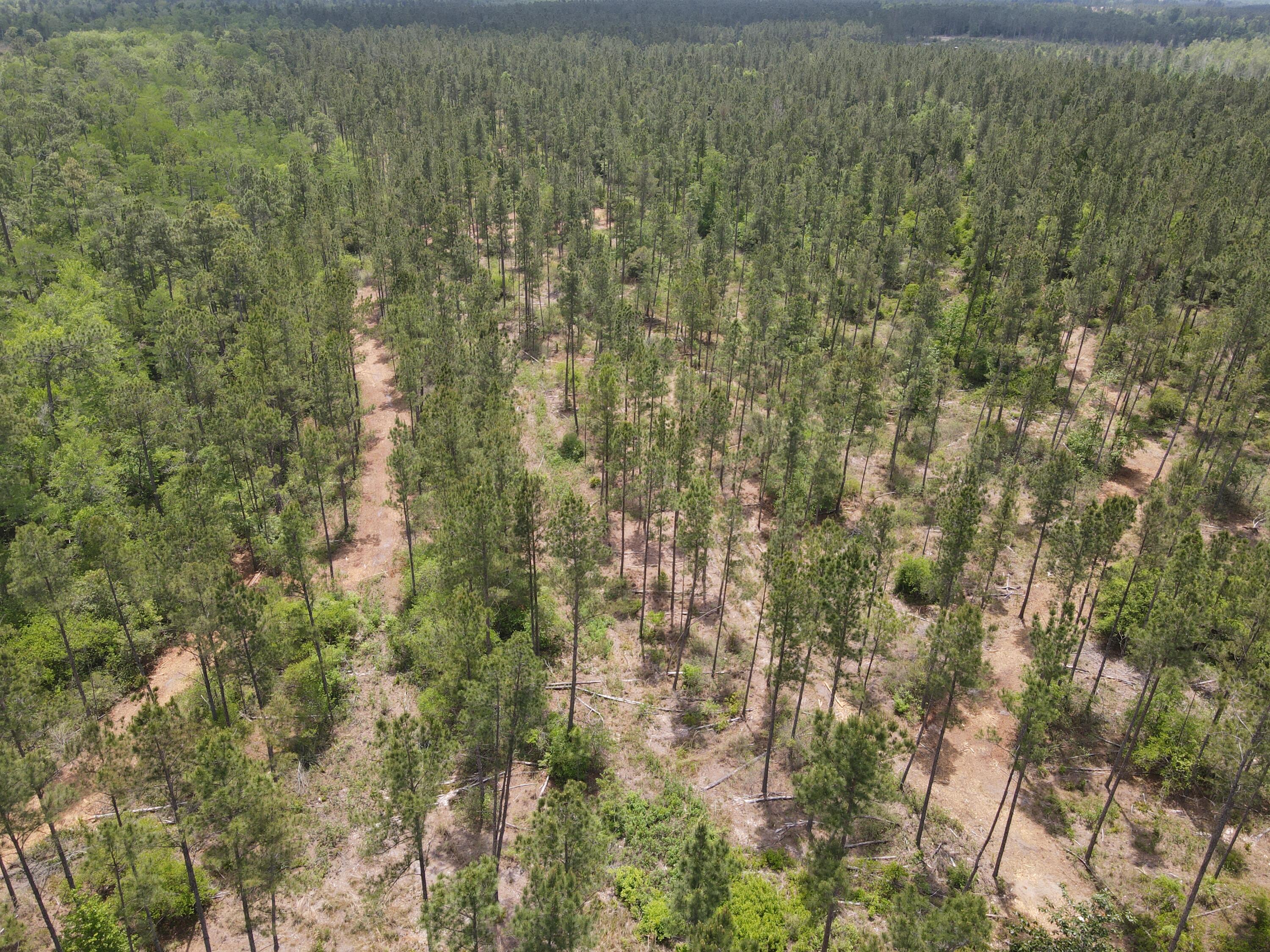 Pinebrook Ranches - Land