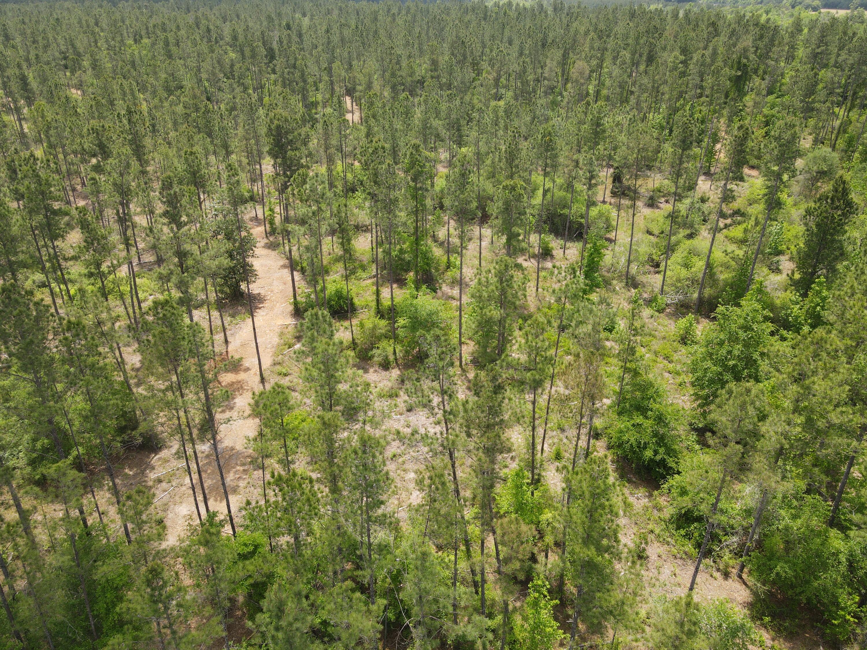 Pinebrook Ranches - Land