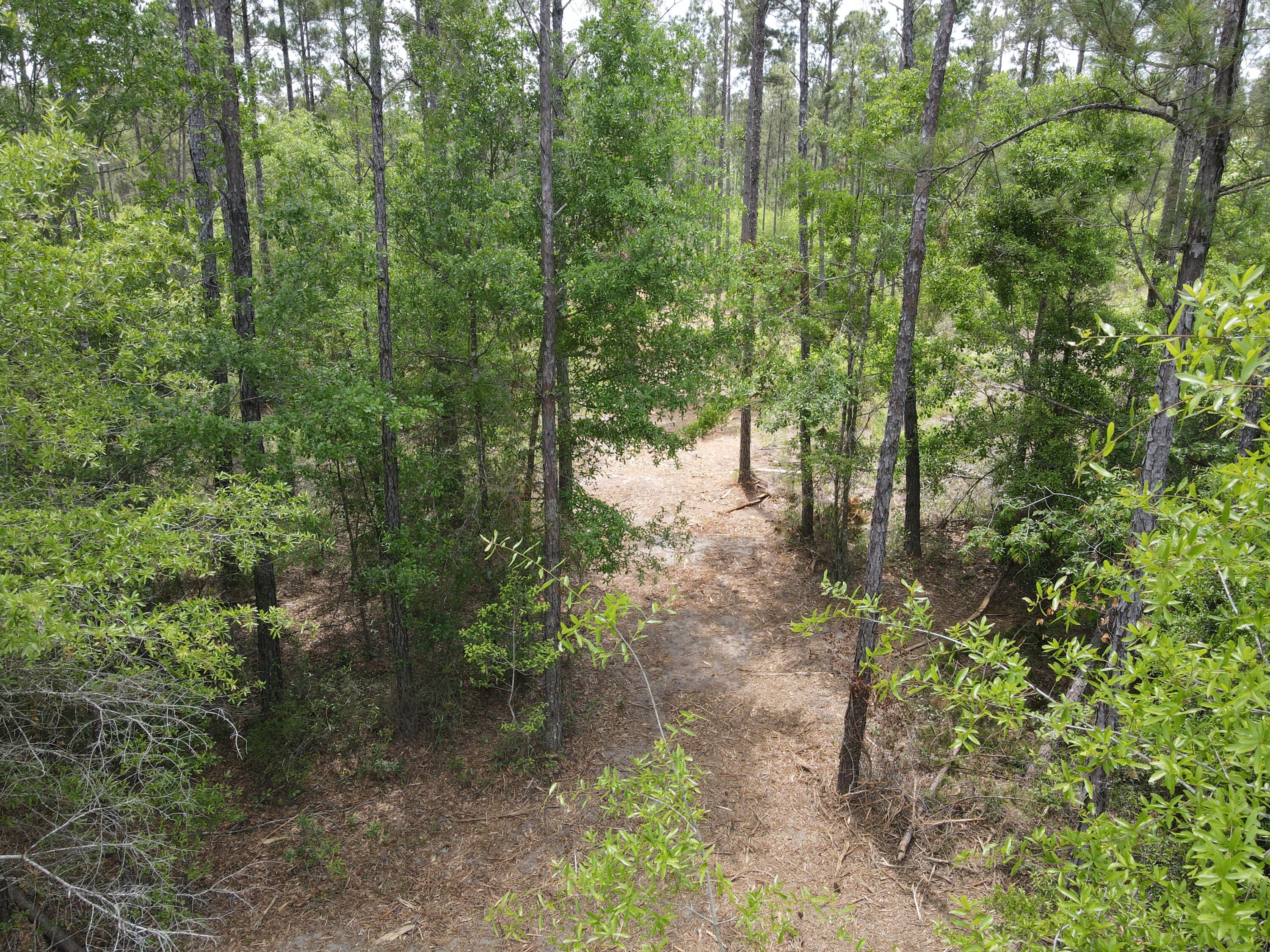 Pinebrook Ranches - Land