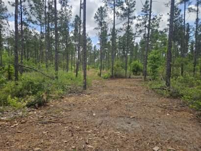 Pinebrook Ranches - Land