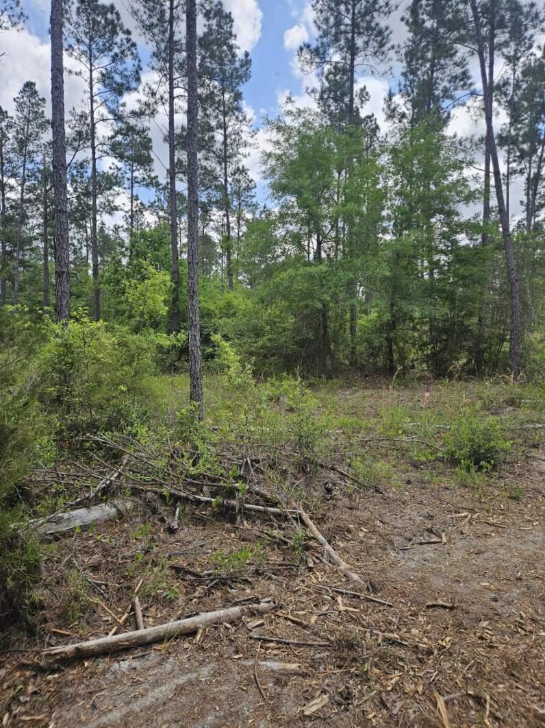 Pinebrook Ranches - Land