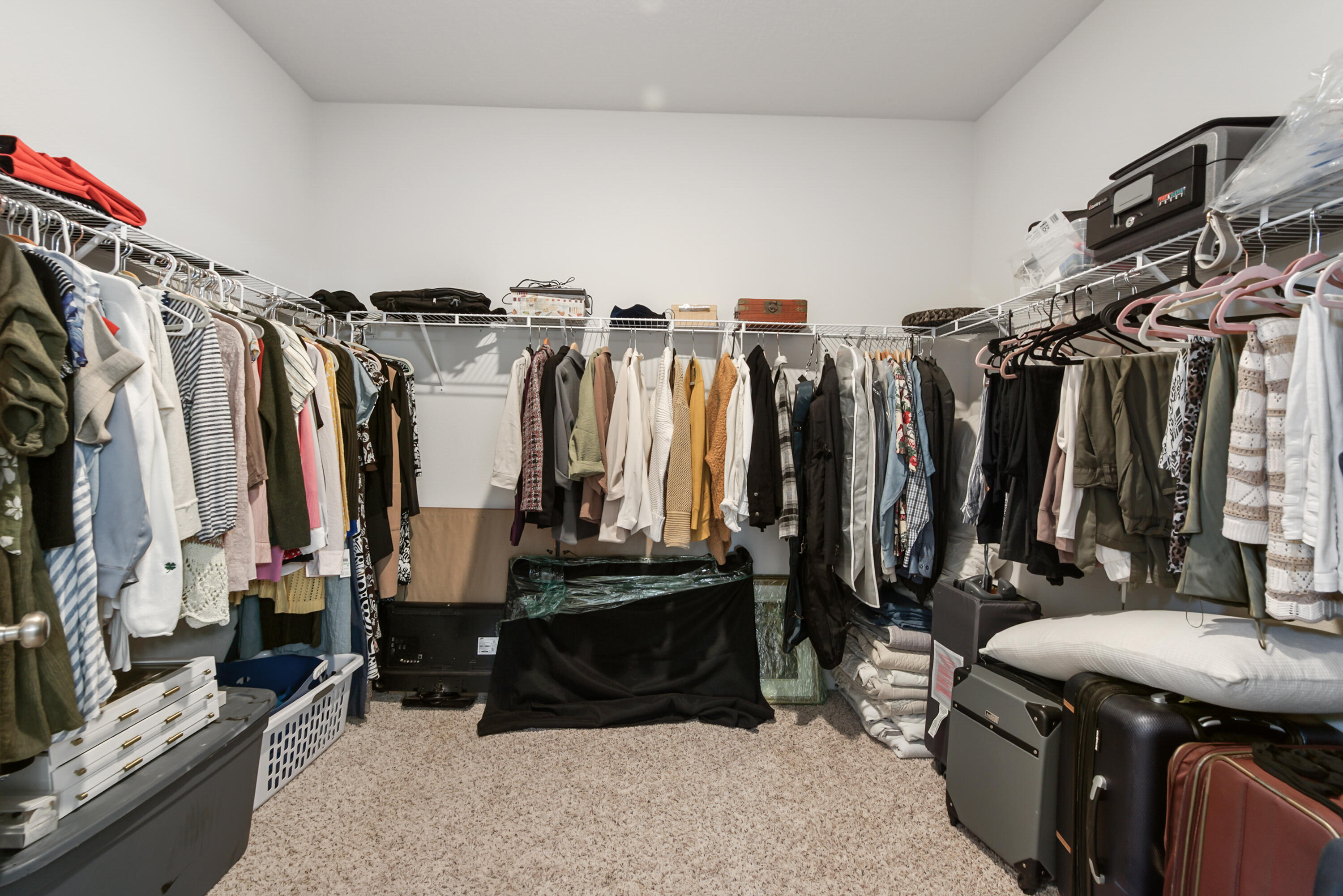 Hammock Bay - Firefly - Residential