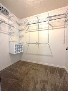 Countryview Estates 1st ADDN - Residential