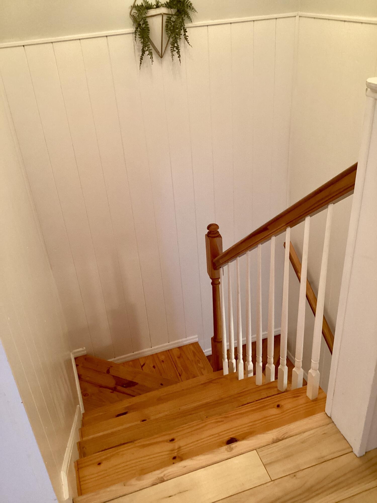 FOREST BREEZE - Residential