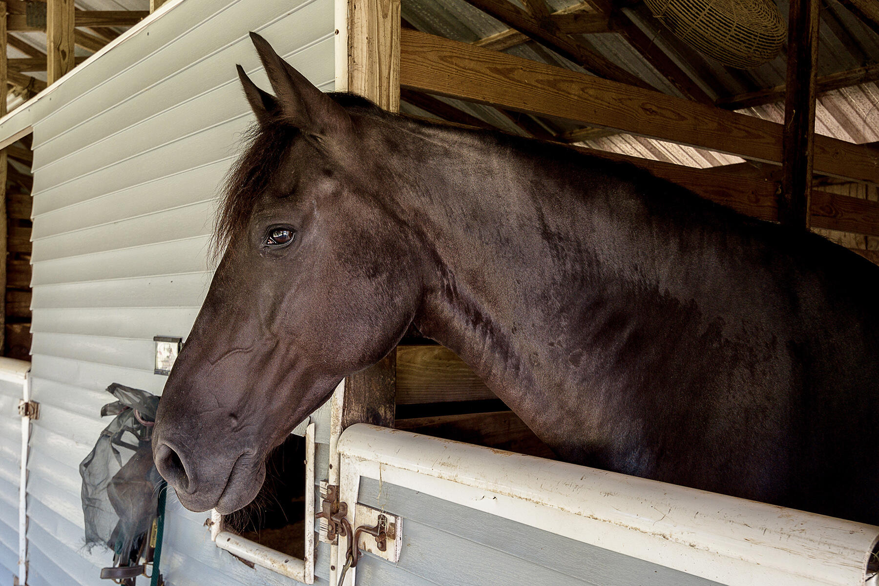KELLY PLANTATION S/D - Residential