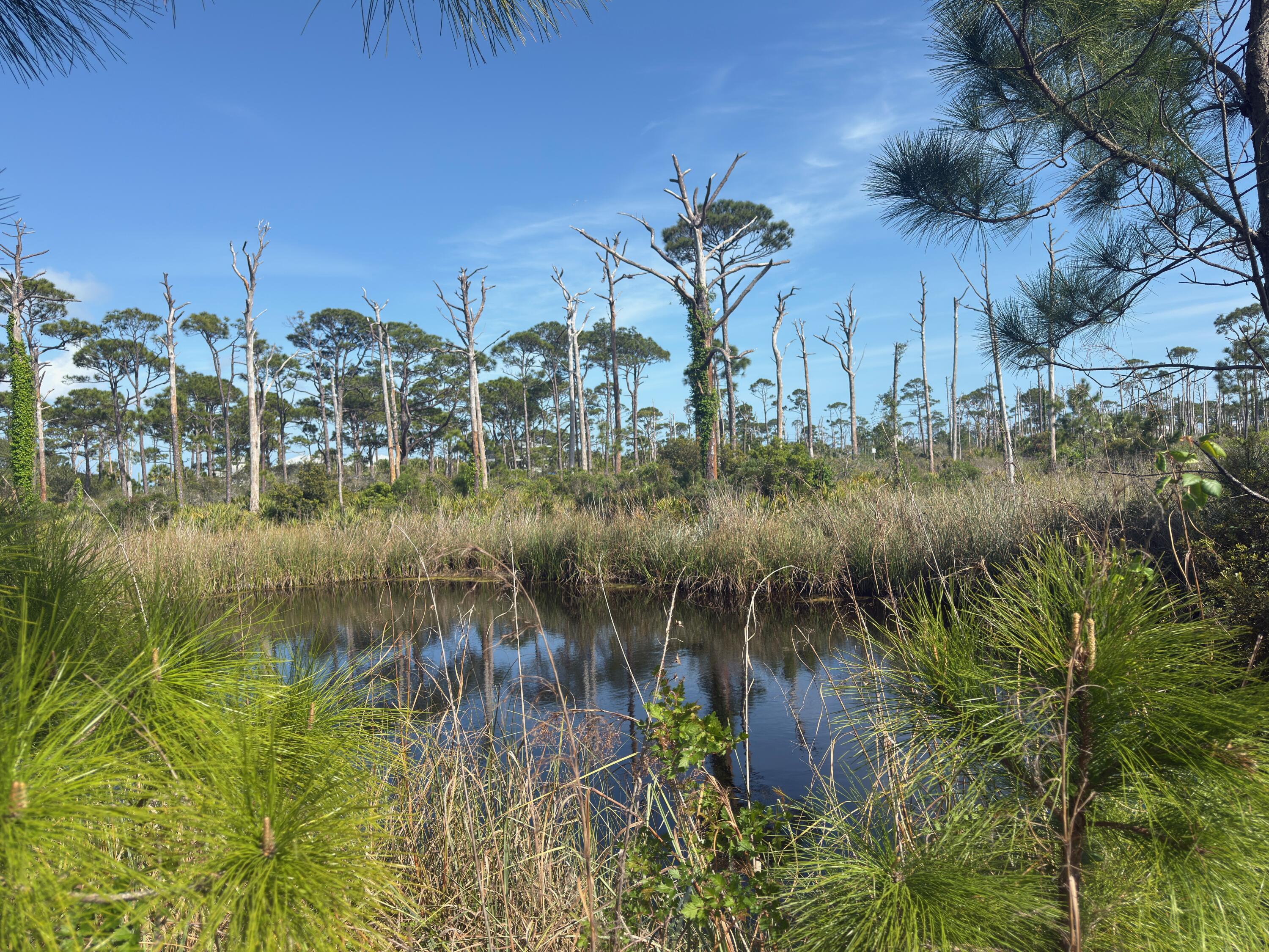 NO RECORDED SUBDIVISION - Land