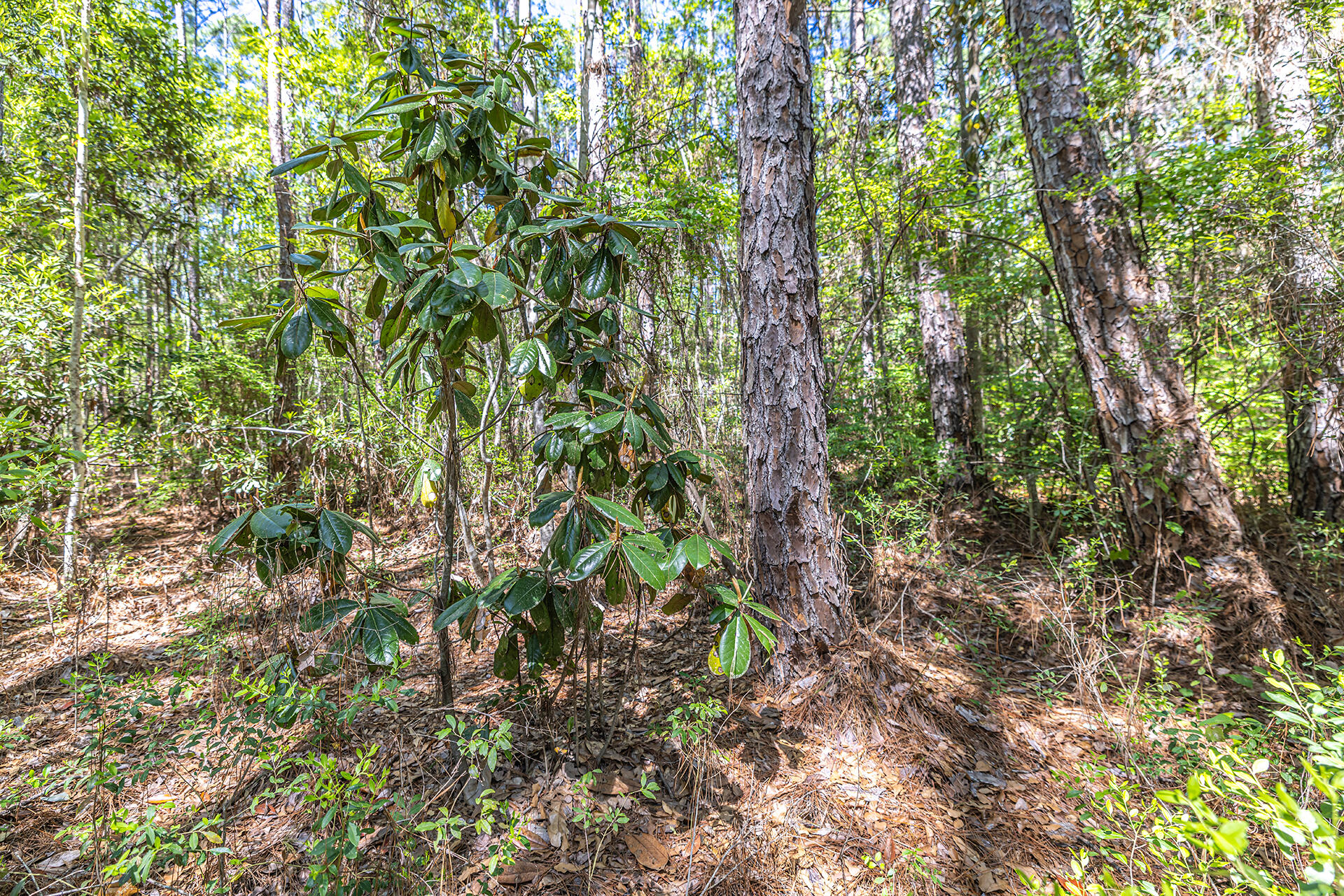 NO RECORDED SUBDIVISION - Land