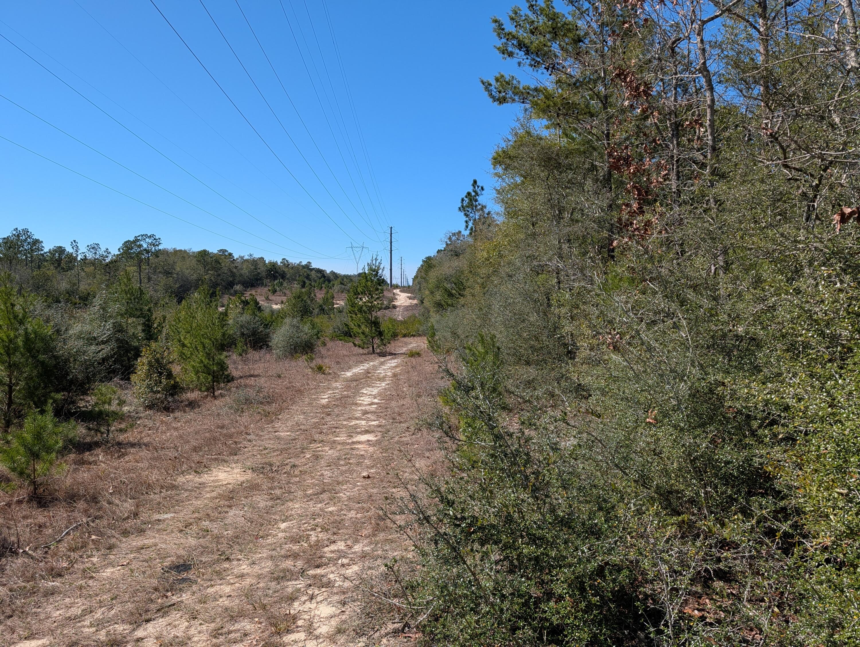 OAKWOOD HILLS UNIT 1 - Land