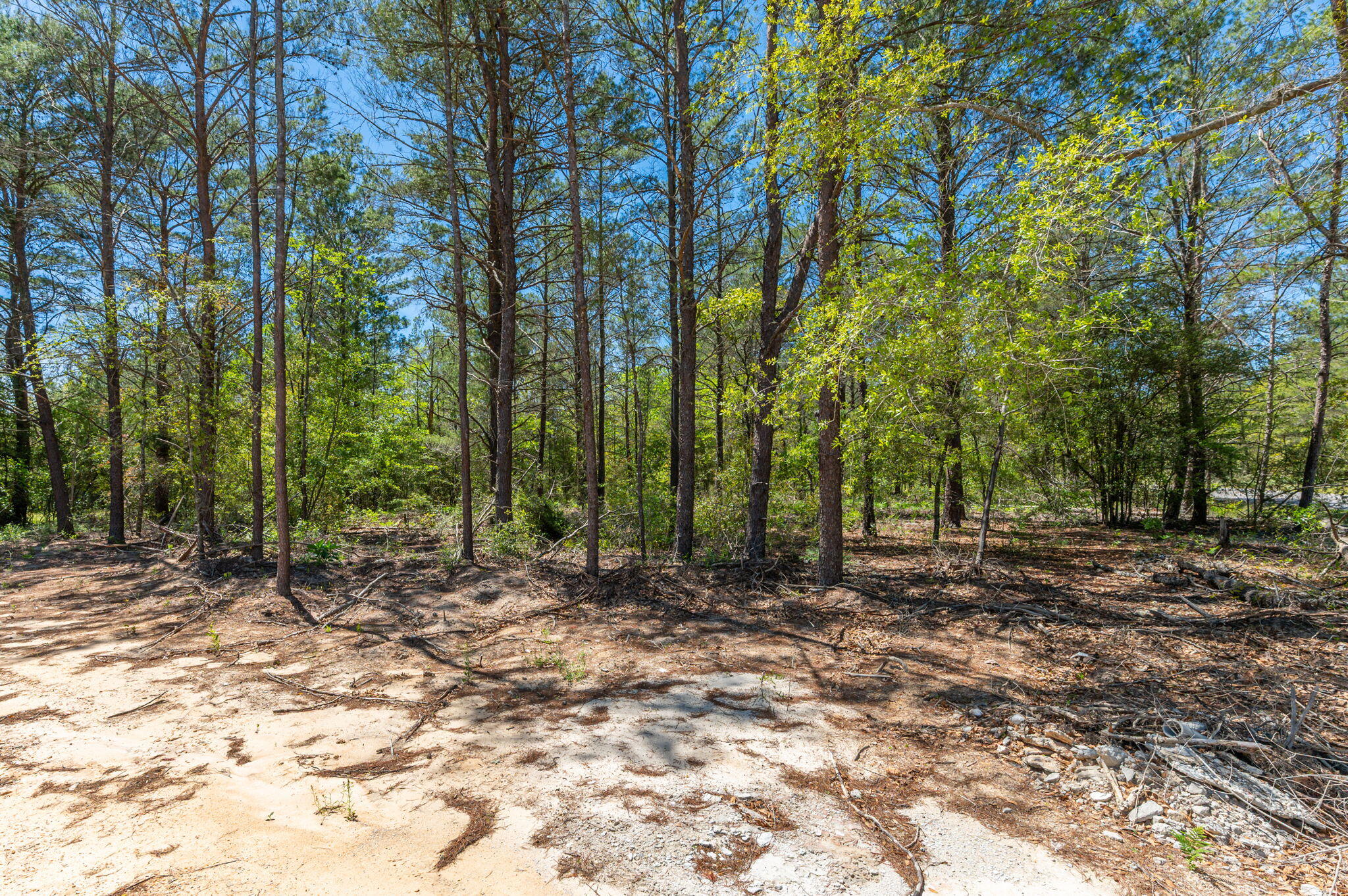 OAKWOOD HILLS UNIT 1 - Residential