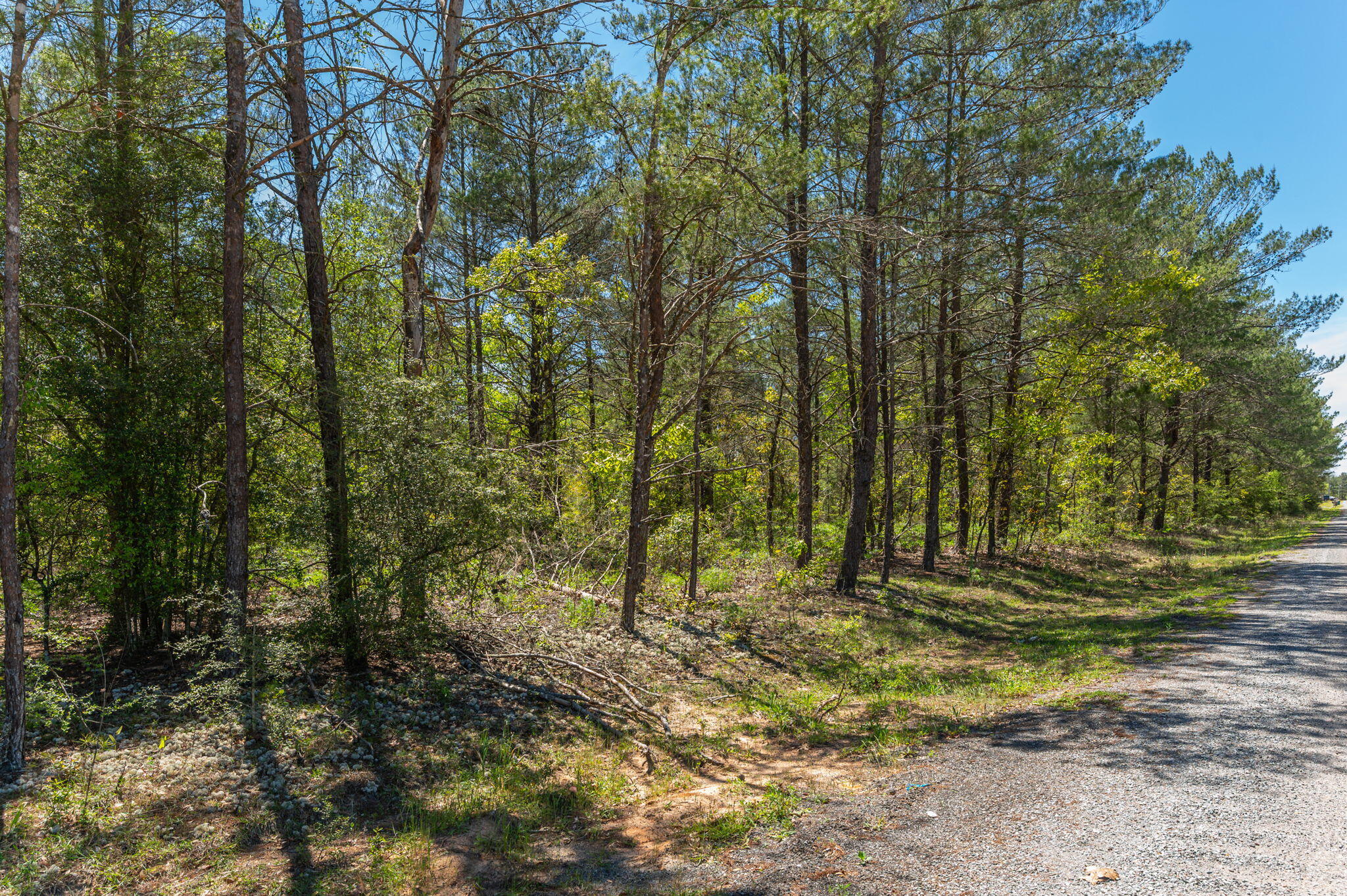 OAKWOOD HILLS UNIT 1 - Residential