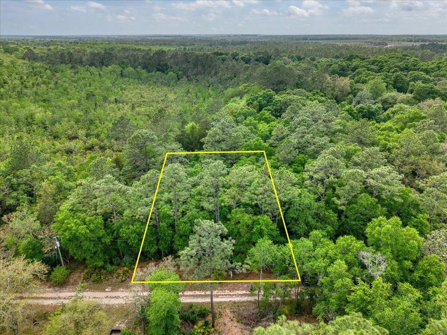 Escape to your own nature retreat with this affordable lot zoned R1M (Mixed Residential Subdivision) in a Rule area south of I-10. Lightly wooded and accessible you can get right onto the property and start planning your dream tiny home or weekend getaway. Lot is also perfect for camping or even a manufactured/mobile home. With mature trees this lot provides natural shade and privacy while keeping the land fully usable. Utilities are within reach with electrical lines at the road and public water available, saving you significant setup costs. A rare opportunity to own affordable land with conveniences already in place. Don't miss it! Here's what's permitted on an R1M zoned lot in Santa Rosa County based on the official Land Development Code:
Permitted by Right (P):
      "     Single family detached homes 
      "     Manufactured/modular homes 
      "     Mobile homes 
      "     Cluster homes and patio homes 
      "     Duplexes 
      "     Group homes (0-6 residents) 
      "     Accessory structures (sheds, garages, guest cottages, docks/piers) 
Conditional Uses (C) -- Require Additional Approval:
      "     Bed & breakfast establishments 
      "     Child/adult care facilities 
      "     Educational institutions 
      "     Community centers for government use 
NOT Allowed:
      "     RVs or travel trailers as permanent residences
      "     Commercial or retail uses
      "     Multifamily apartments
The lot is best suited for a single-family home, manufactured home, mobile home, or modular home. A tiny home built to Florida building code standards would fall under single family or modular home and would likely be permitted. Always recommend buyers verify with Santa Rosa County Planning & Zoning before purchasing.