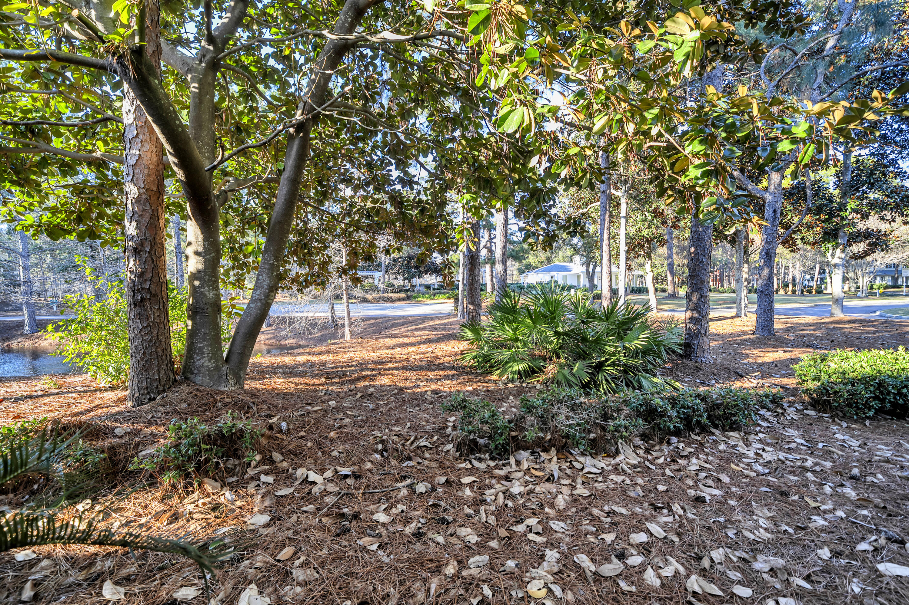 LAUREL GROVE - Residential