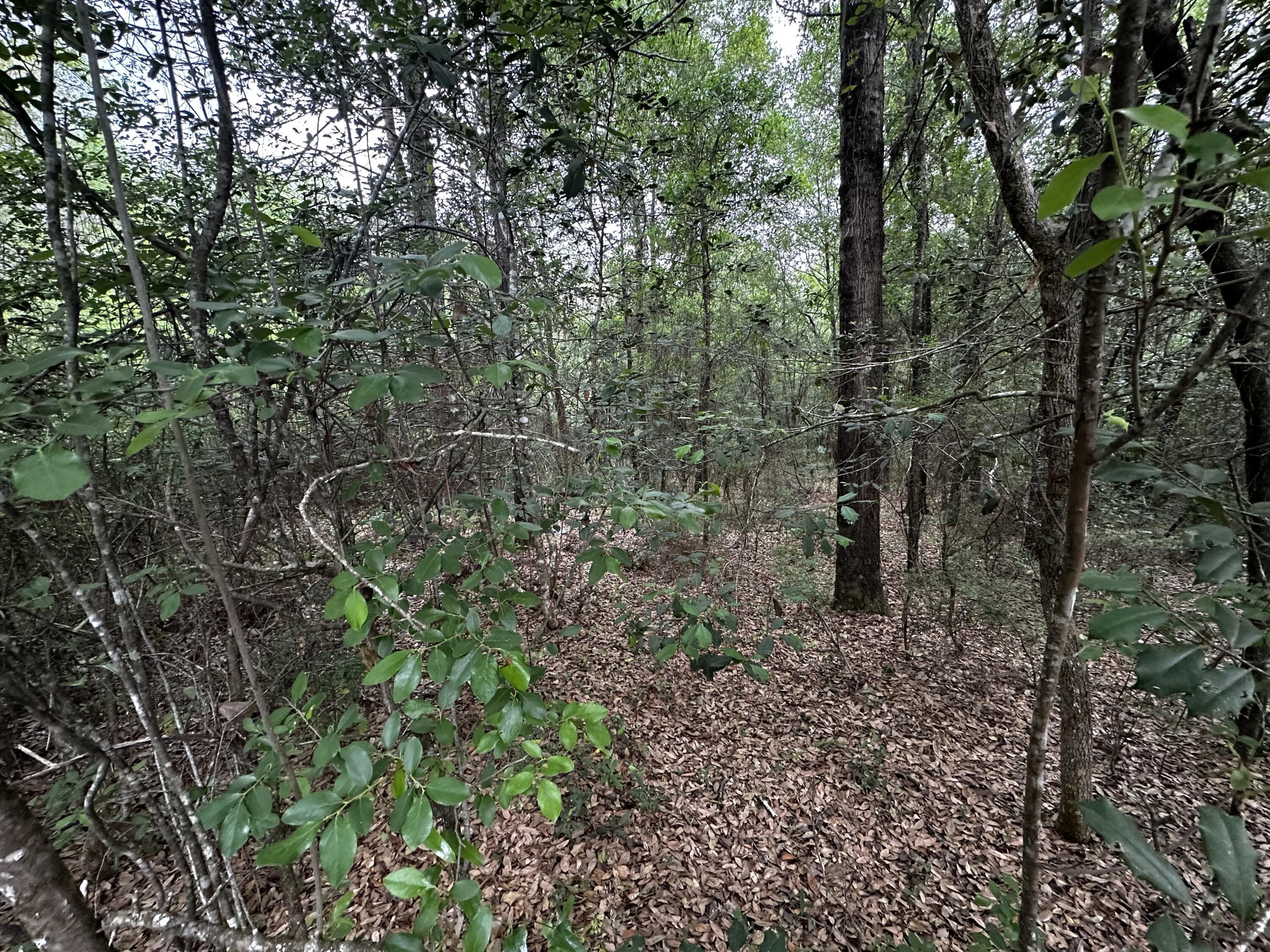 METES & BOUNDS - Land