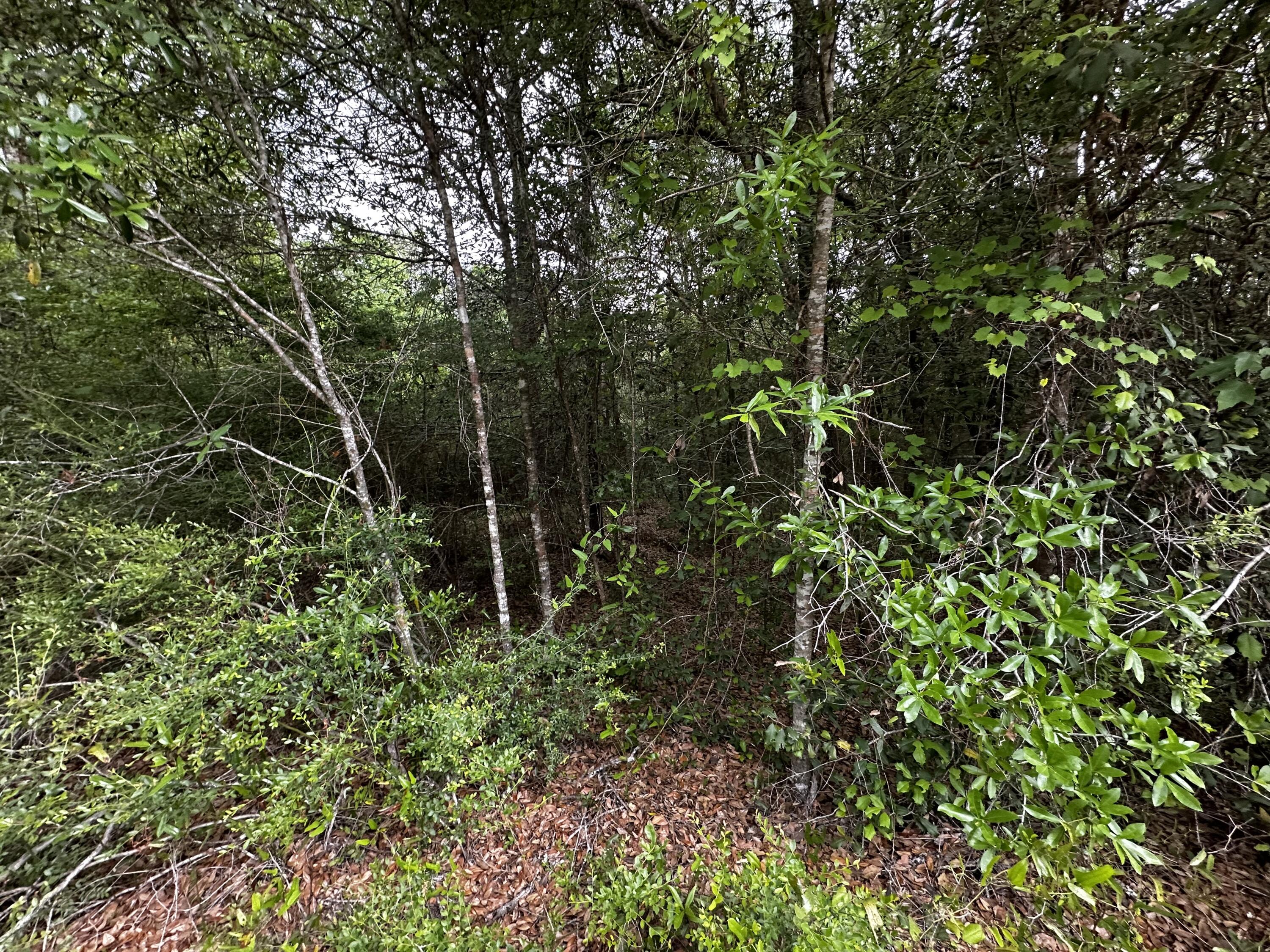 METES & BOUNDS - Land