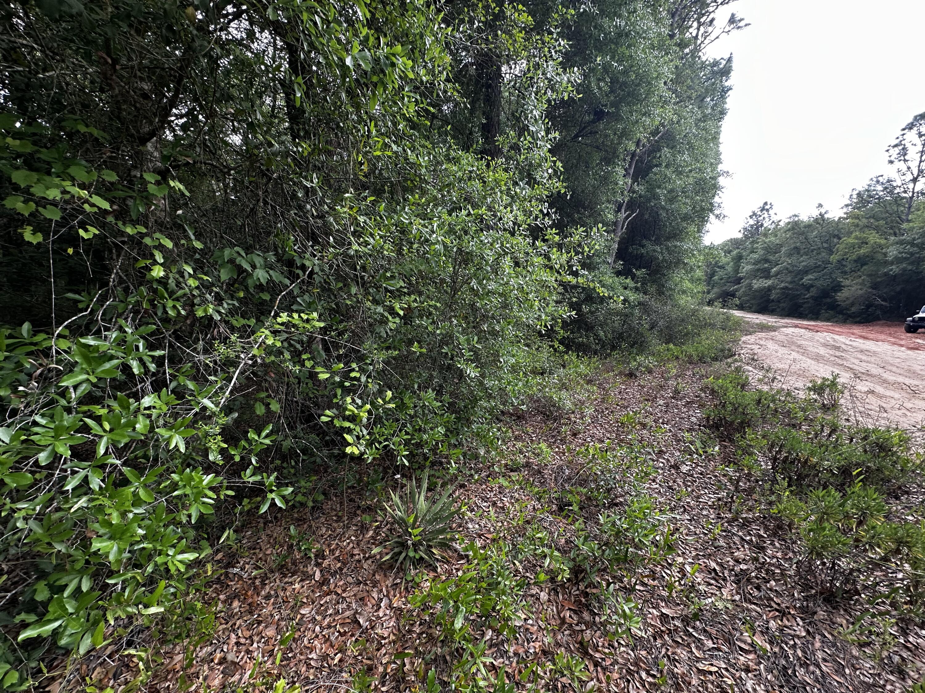 METES & BOUNDS - Land