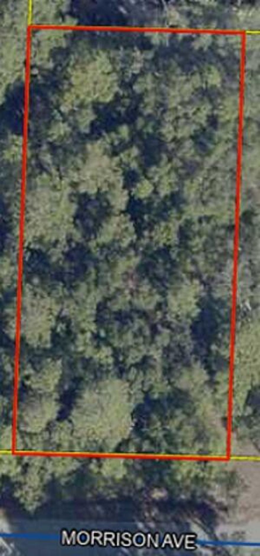 This incredible quarter-acre wooded lot, measuring 75'x150', is situated in sought-after Point Washington, just 4 miles away from the stunning Grayton Beach. Nestled in a quiet neighborhood with paved streets, this prime location offers the perfect balance of tranquility and convenience. Immerse yourself in the natural beauty that surrounds you, with the Choctawhatchee Bay only a few streets away, providing endless opportunities for outdoor adventures. With this spacious lot, you have the ideal canvas to create your dream home.