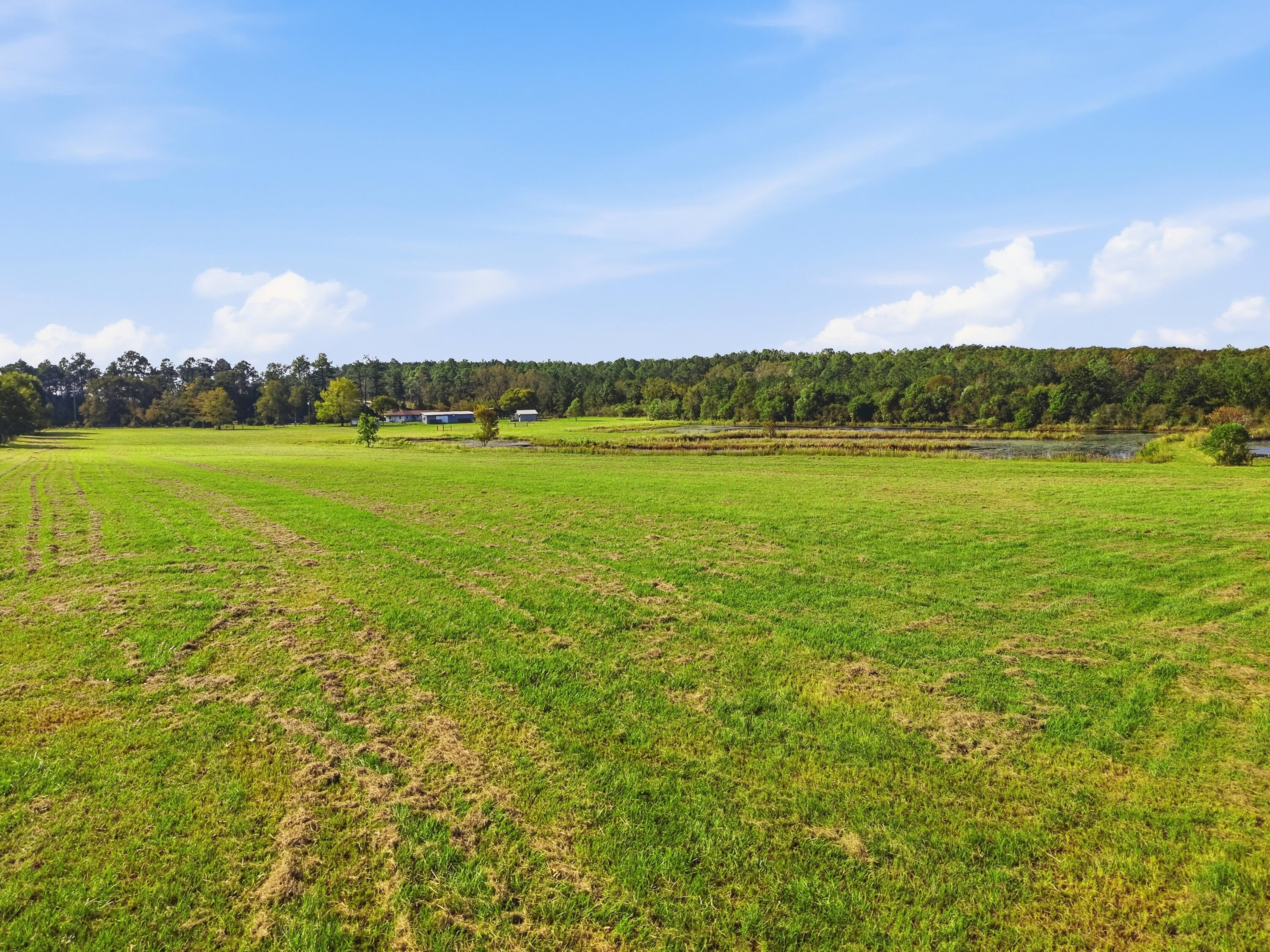 11.82 Acre Smyrna Road