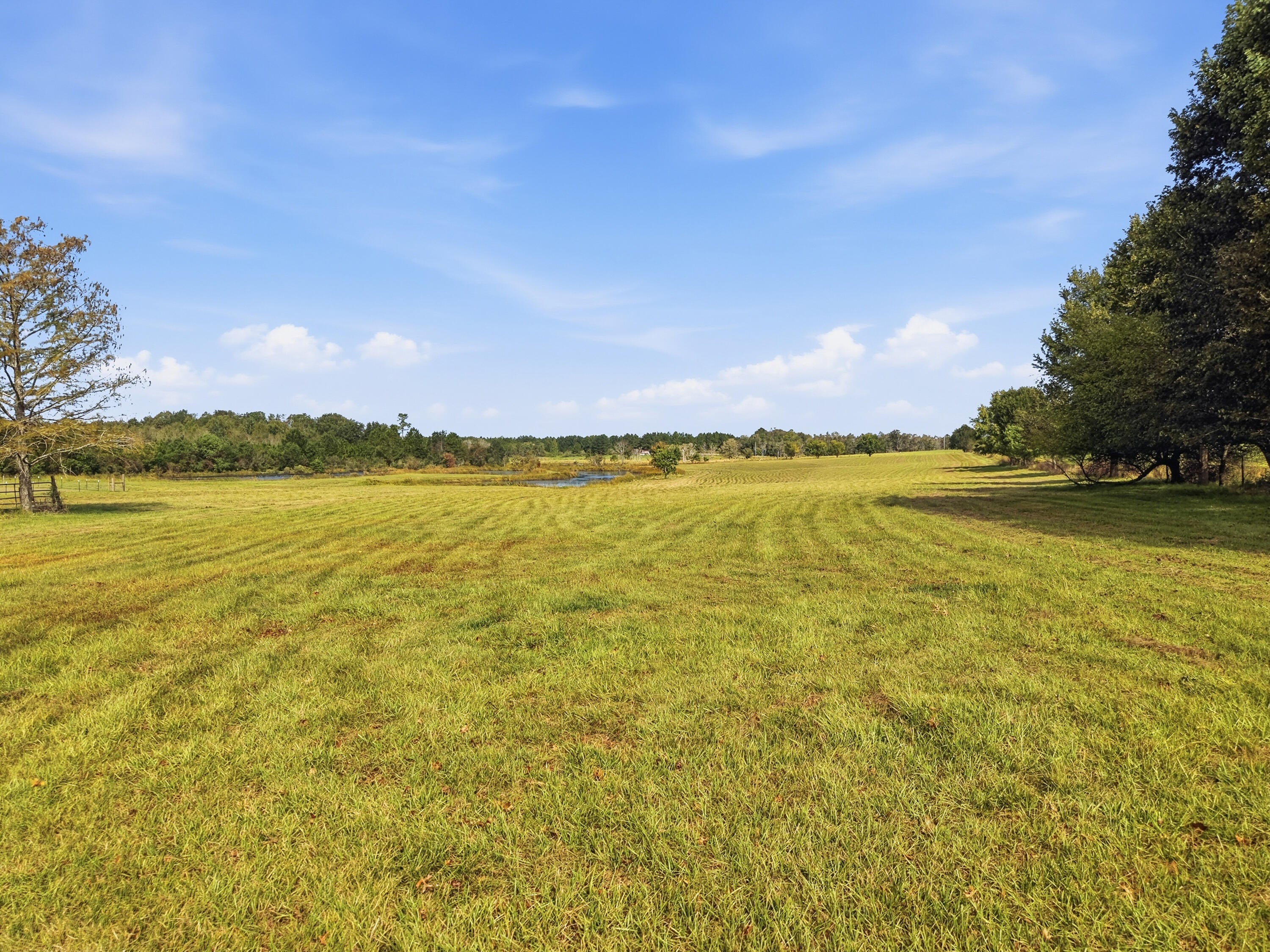 11.82 Acre Smyrna Road
