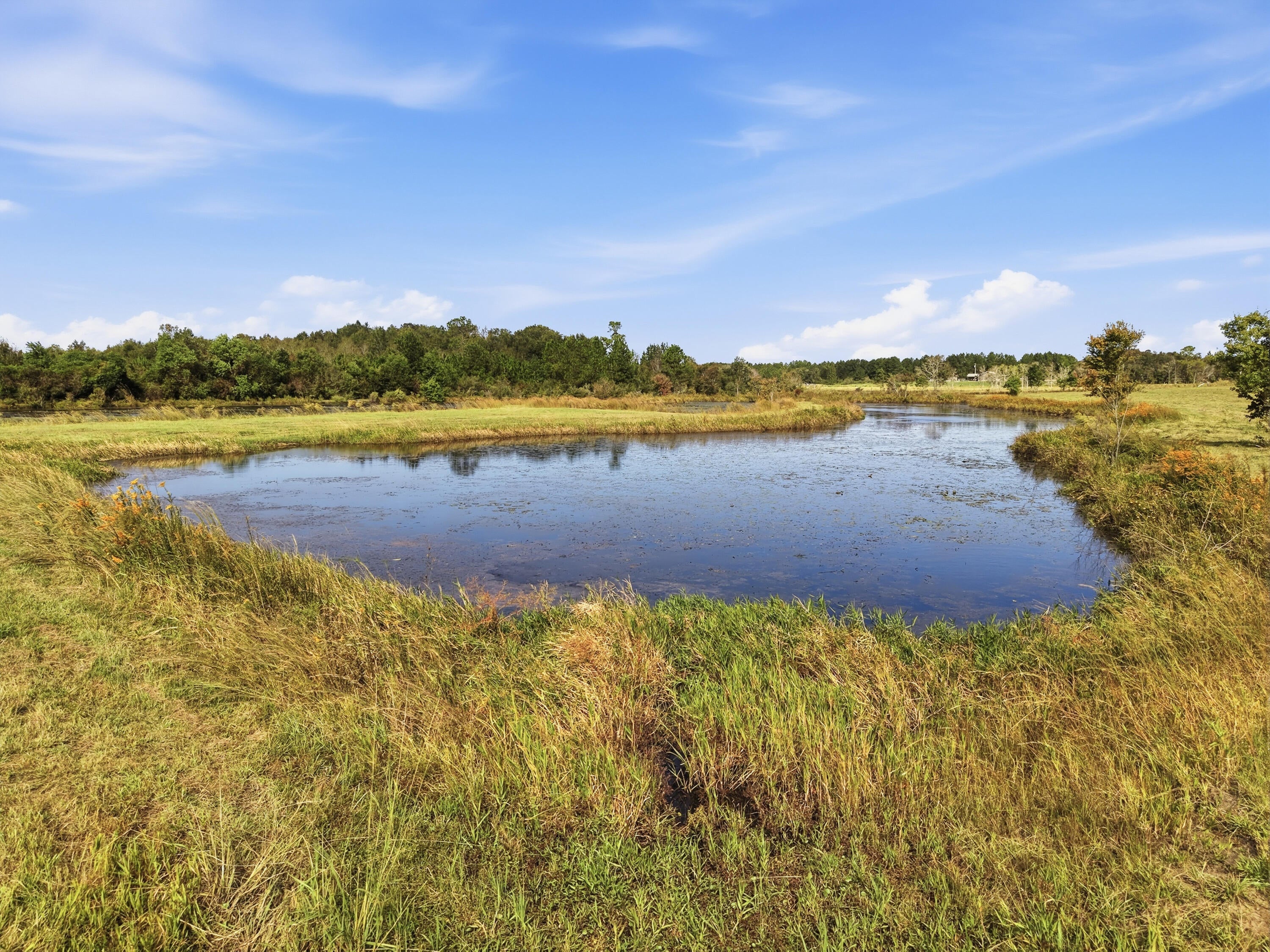 11.82 Acre Smyrna Road