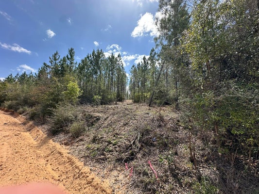 MATTOX SPRINGS RD 3, CARYVILLE, FL 32427 - Image 2ea9d05dc0fbb3a059da3179d580b2b9/156376679