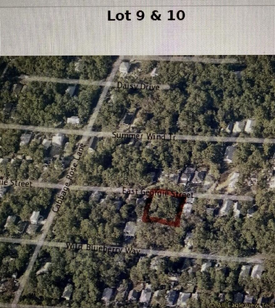 Lots 9 & 10 Block 51 can be bought as a block or sold separately.
$160,000 each
Builders dream to have two contiguous lots. 
Lots appear to be high and dry. 
If you have been waiting for a lot to build your dream home, this is it. 
Easy access to Grayton Beach or to the Bay to launch your boat.  Walk down to the end of Cabbage Rose Lane and launch your kayaks, yolo boards or canoes. Centrally located to 15 restaurants in Grayton Beach and all that 30A has to offer. 
Buyer to perform all due diligence and verify that which they deem important.