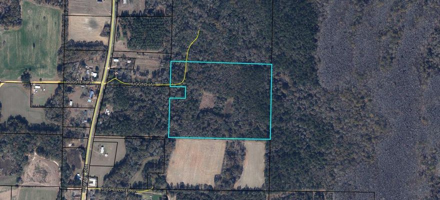 Great Hunting Property! 
Deer, Hogs, Turkeys, Rabbits and Squirrels all about. Undisturbed forest near the Creek and River.