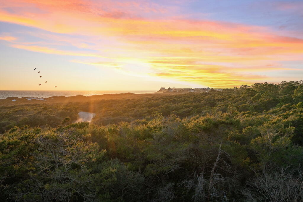 GULF TRACE - Residential