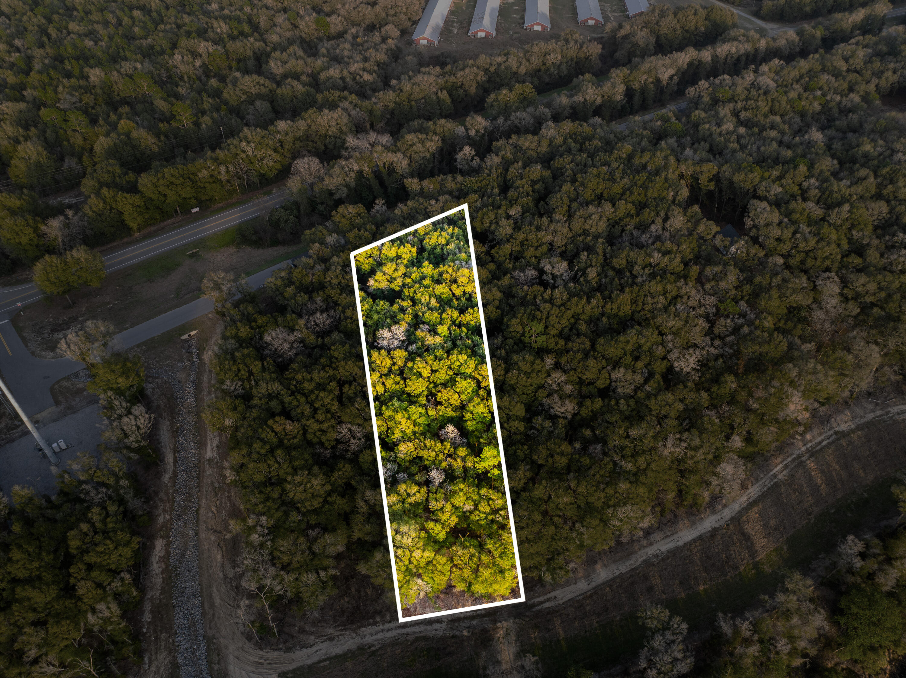 Lot 37 Seacoast Estates - Land