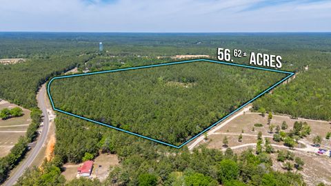 56 Acres Hinote Road DeFuniak Springs FL 32433