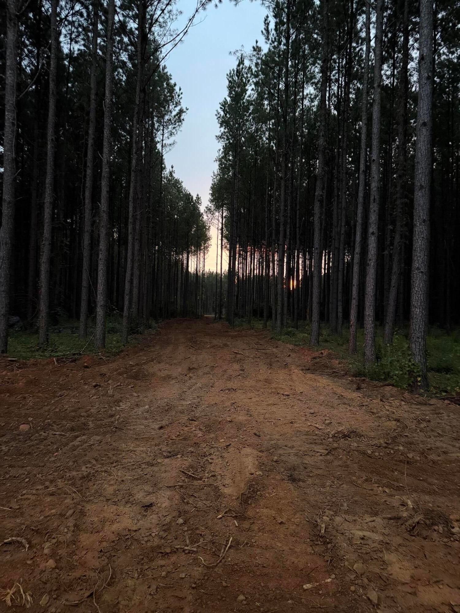10 Acres County Line Road Road