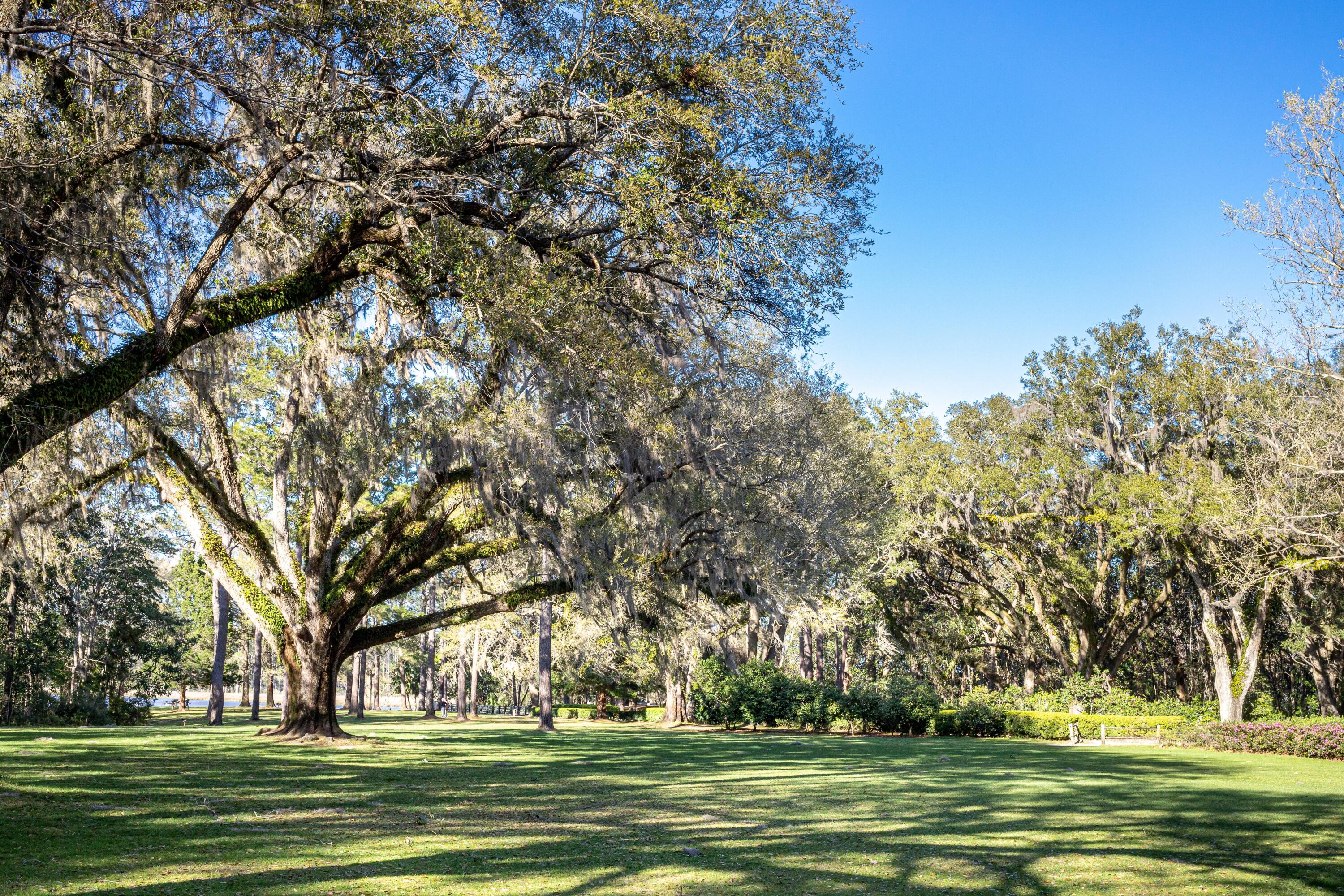 EDEN'S LANDING - Residential
